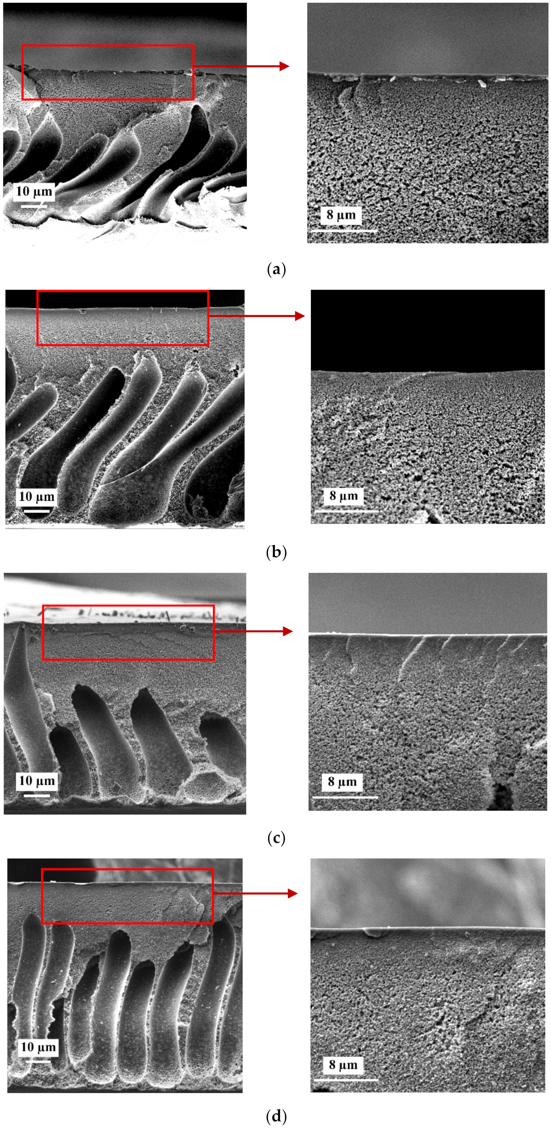 Materials 15 00359 g003a
