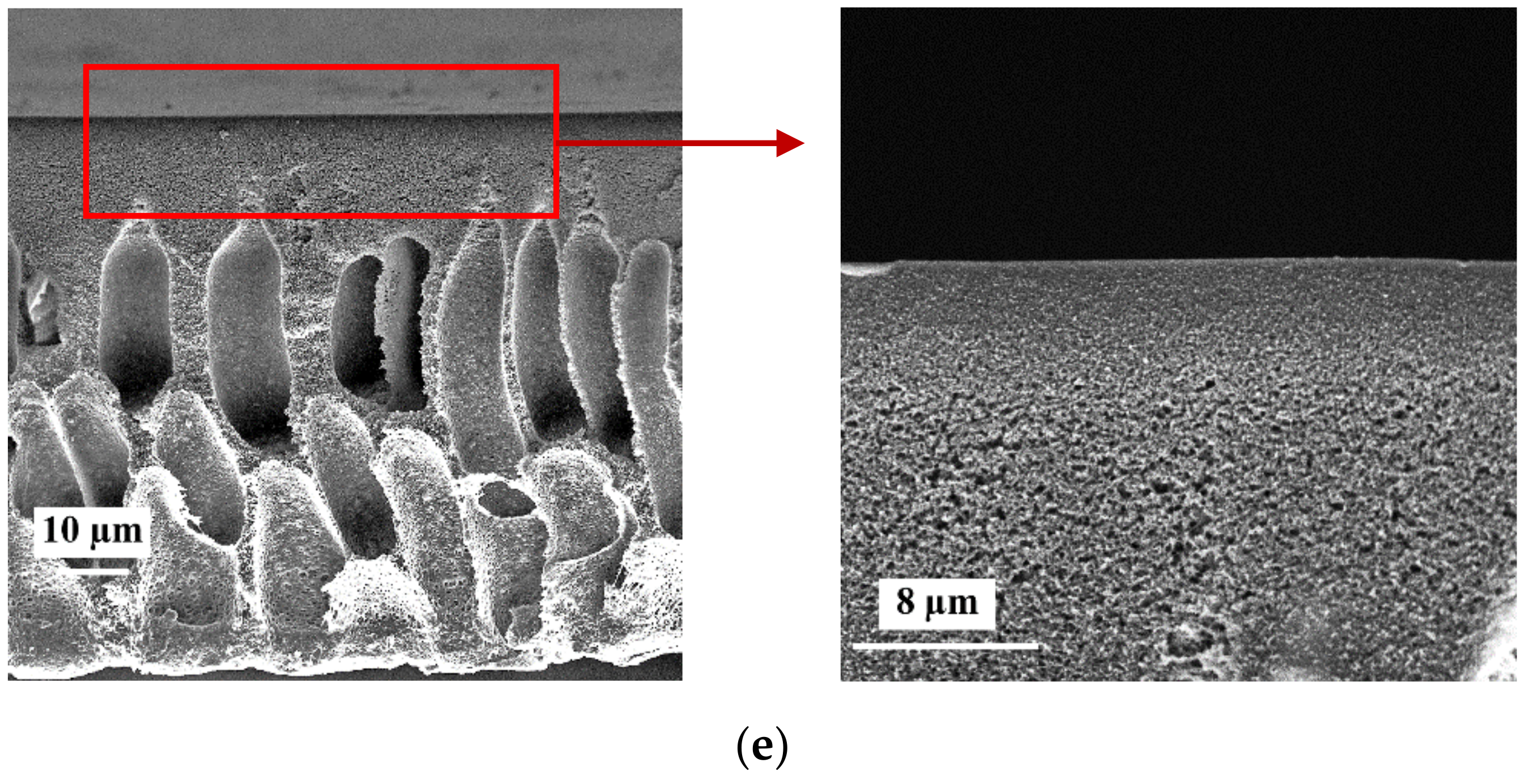 Materials 15 00359 g003b