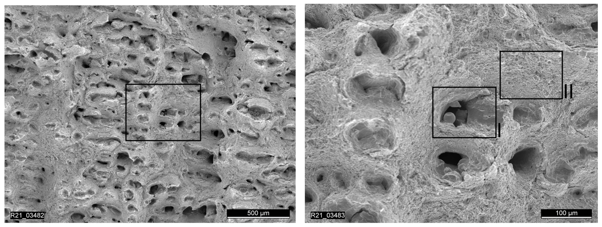 Materials 15 00383 g015 550