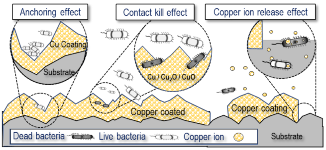 Materials 15 00392 g009
