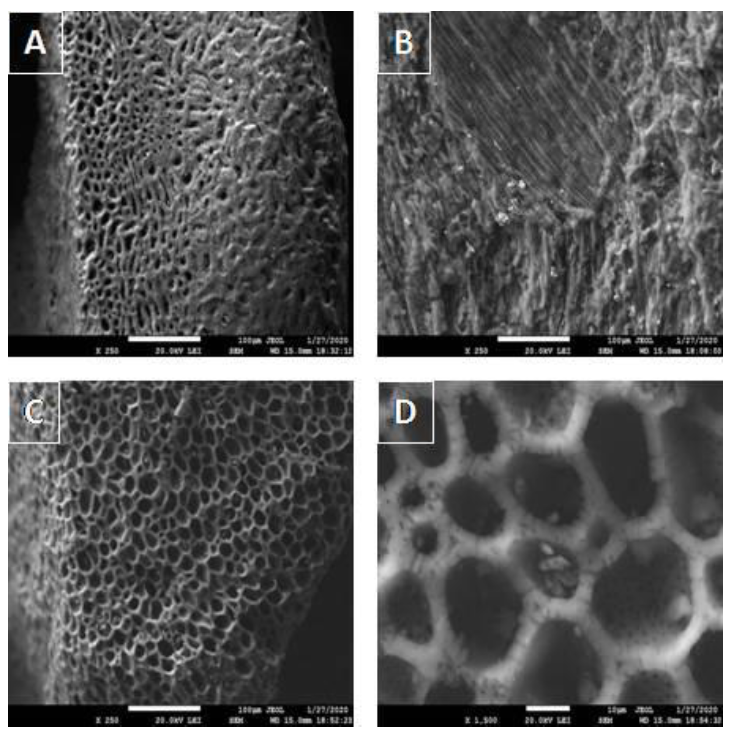 Materials 15 00408 g002