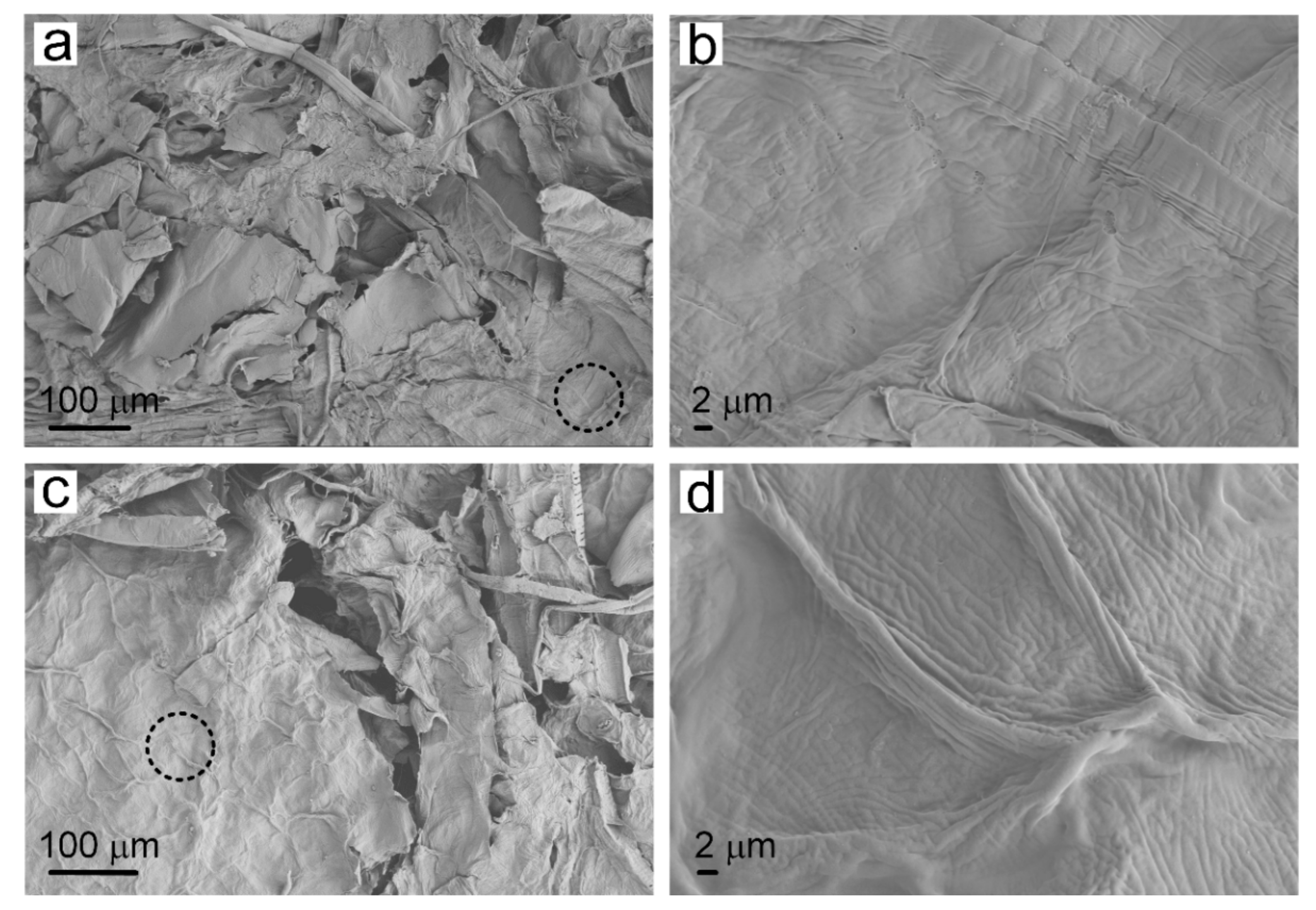 Materials 15 00418 g002 550