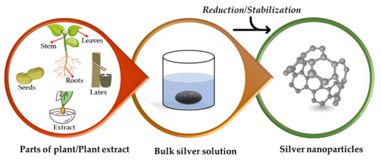 0721 Synthesis, Characterization and Biomedical Application of