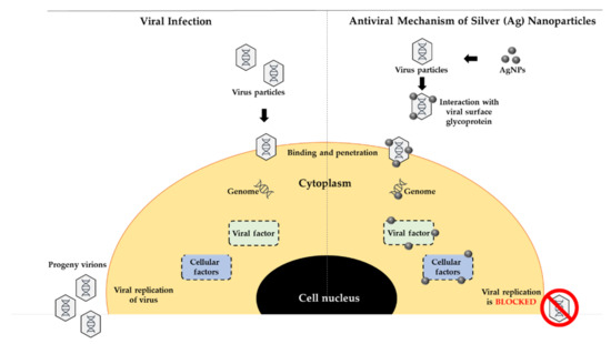 0721 Synthesis, Characterization and Biomedical Application of