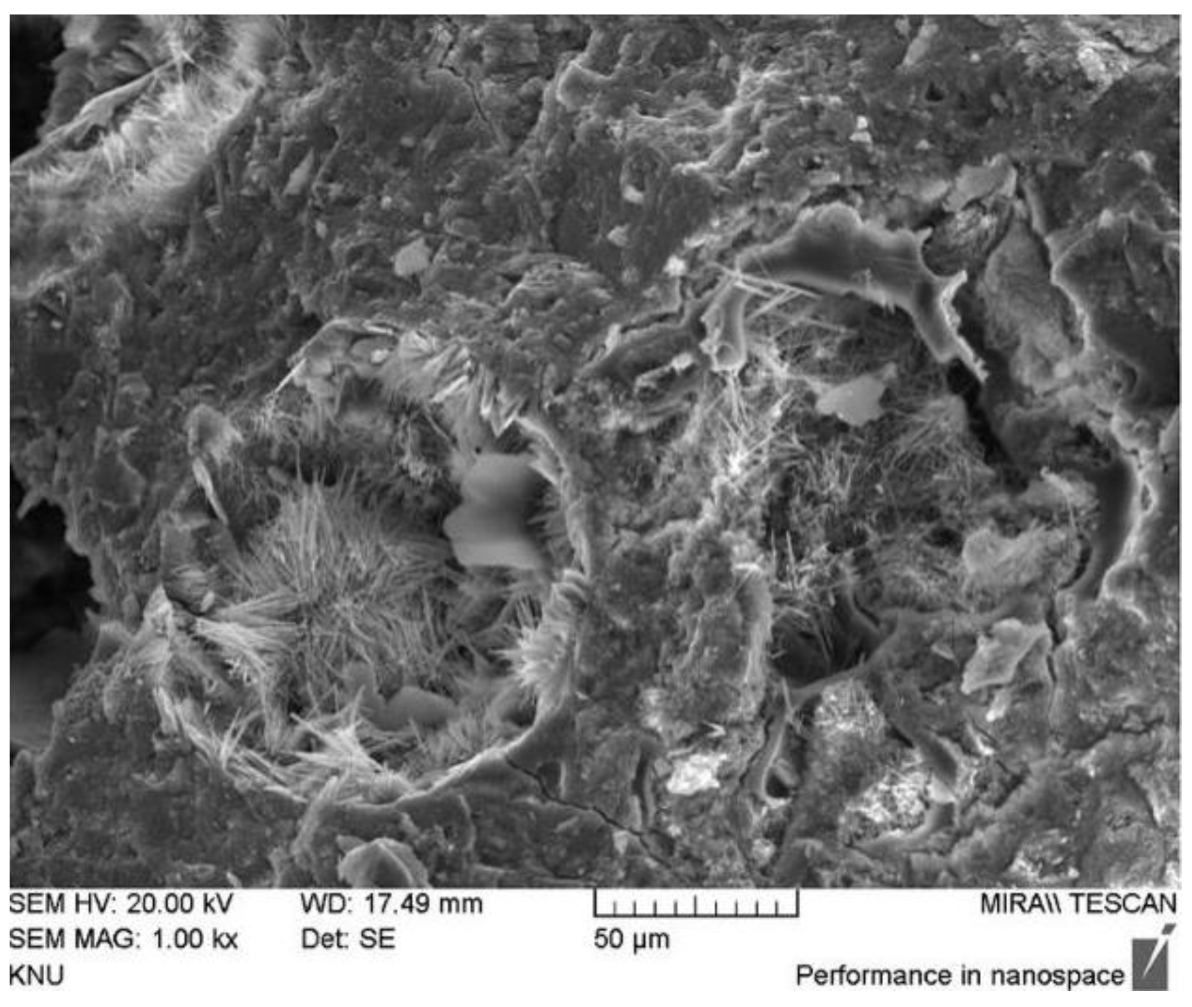 Materials 15 00440 g011