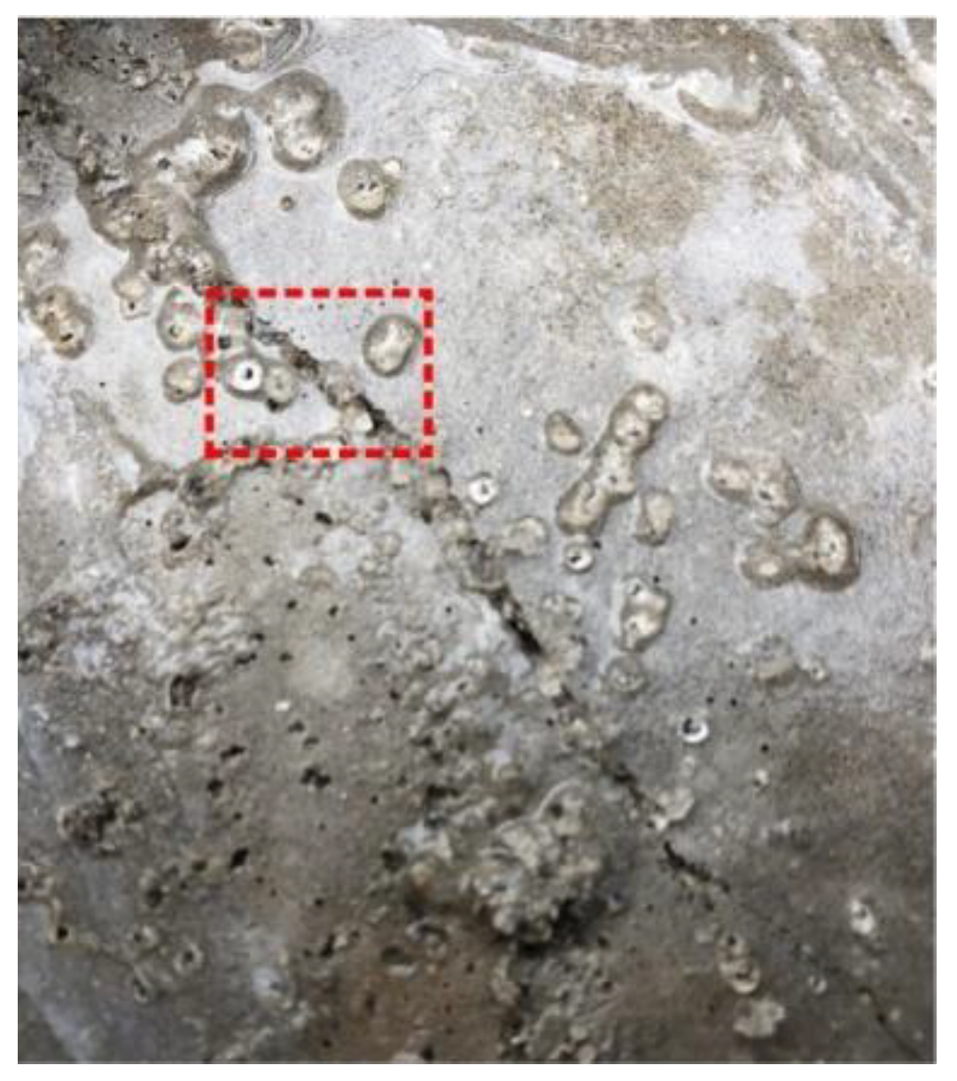 Materials 15 00440 g013