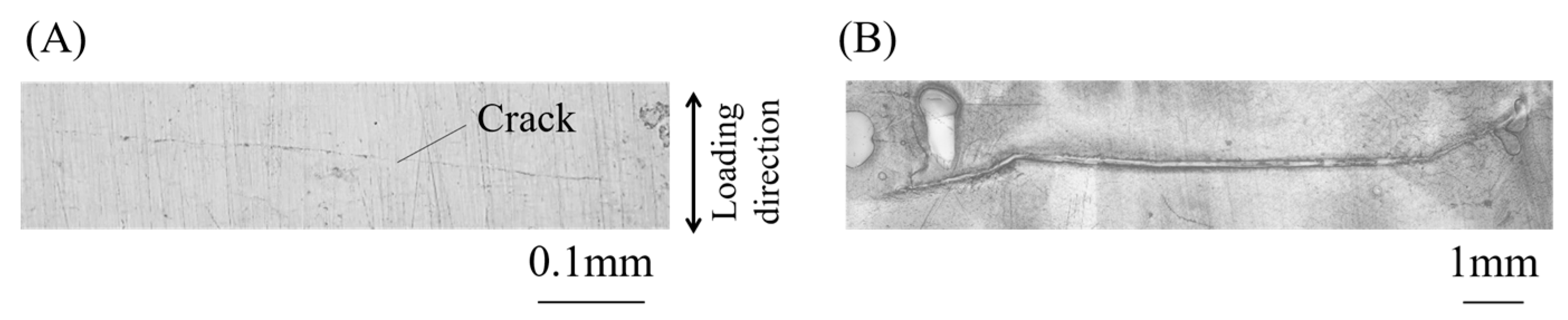Materials 15 00445 g007 Materials 15 00445 g007
