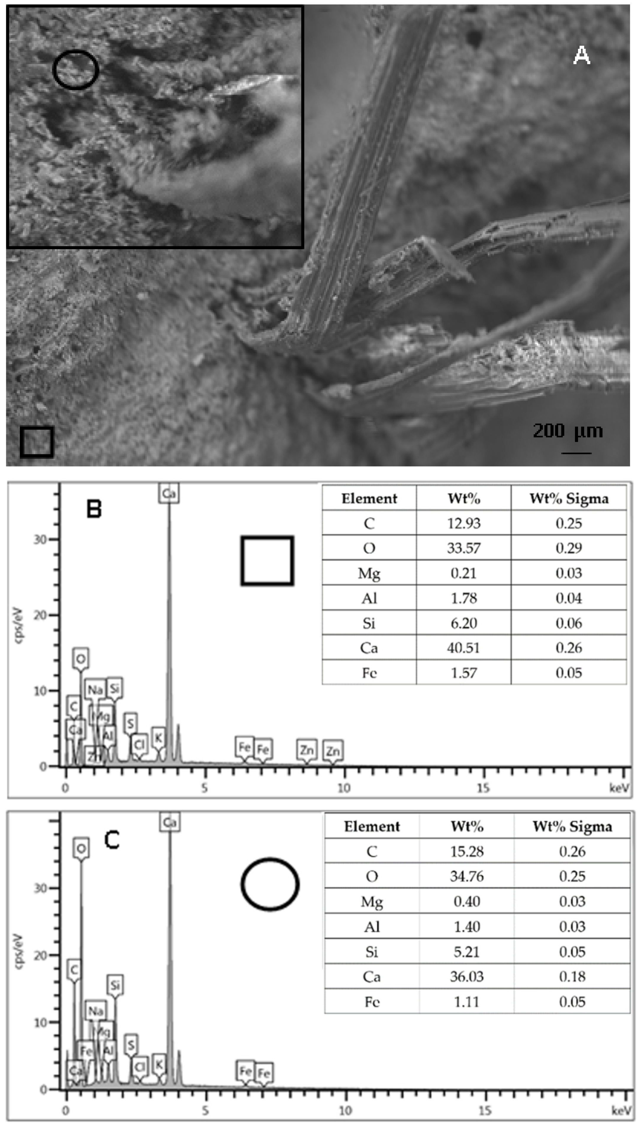 Materials 15 00453 g013 550