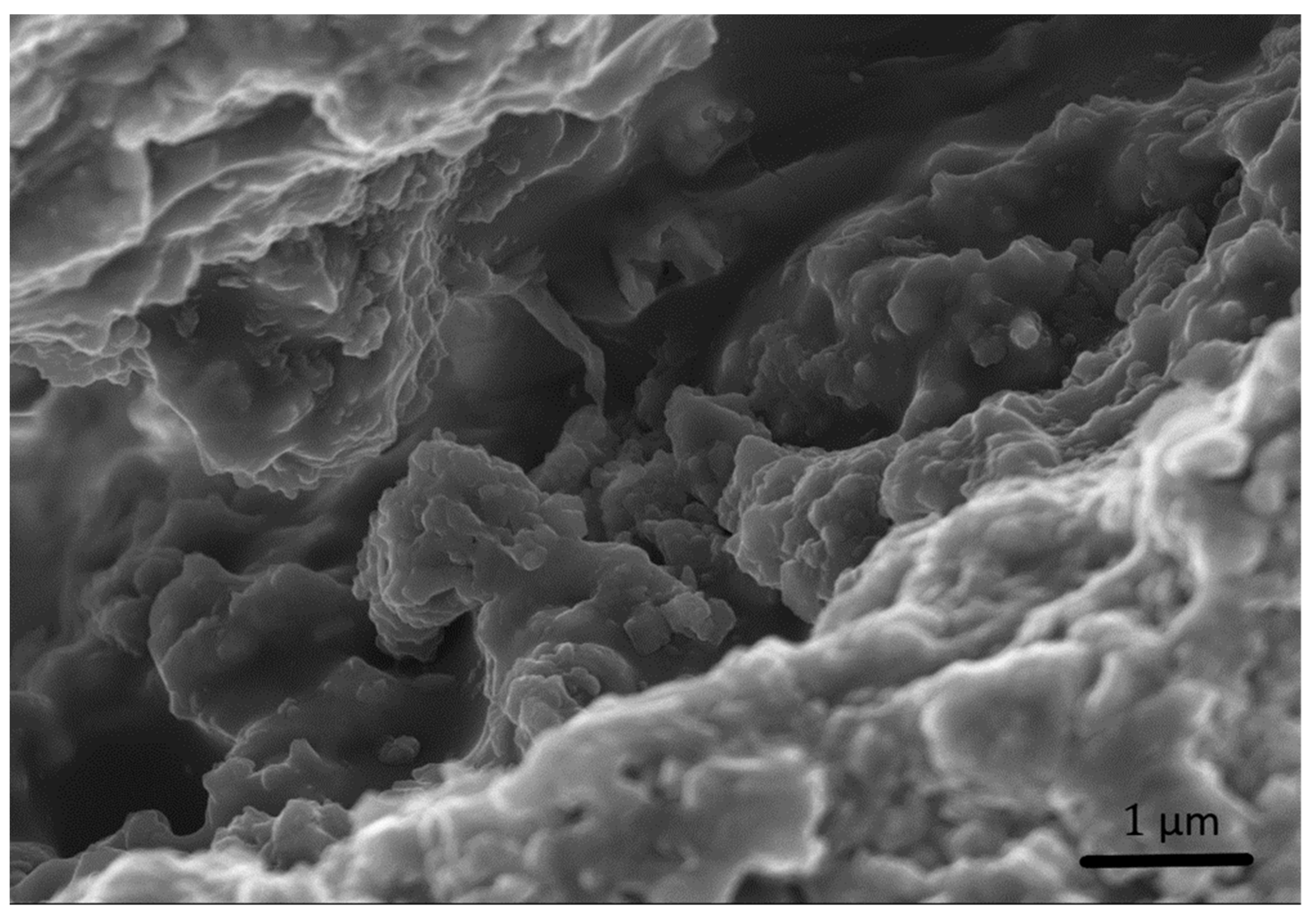 Materials 15 00459 g016 550