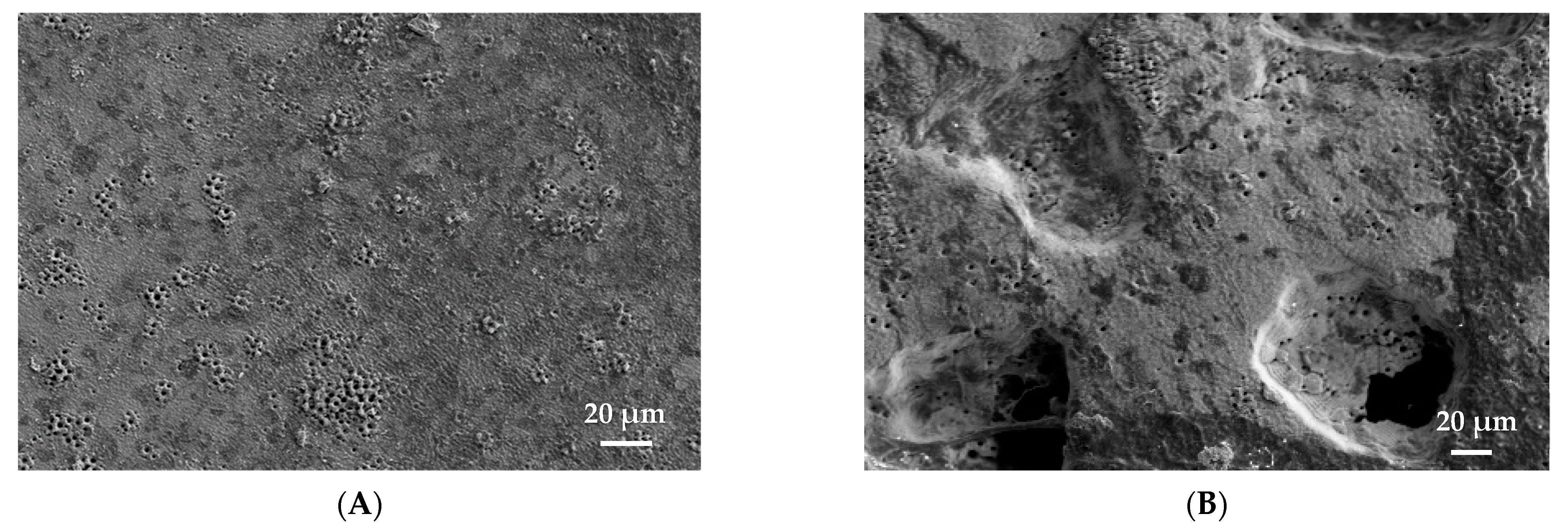 Materials 15 00461 g006