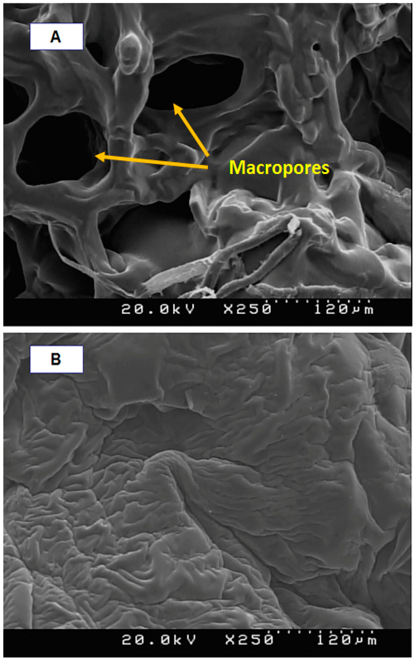 Materials 15 00469 g004