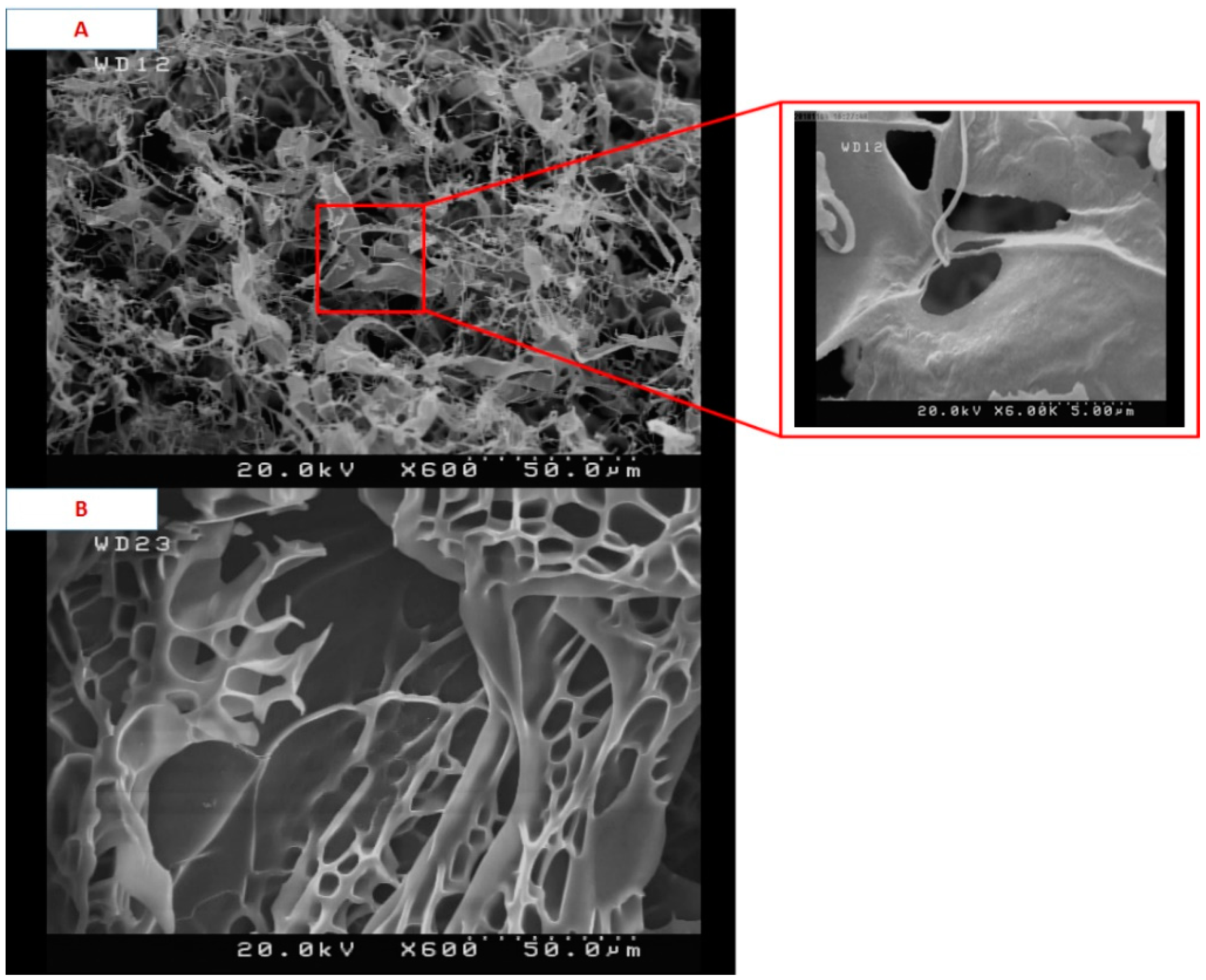 Materials 15 00469 g005