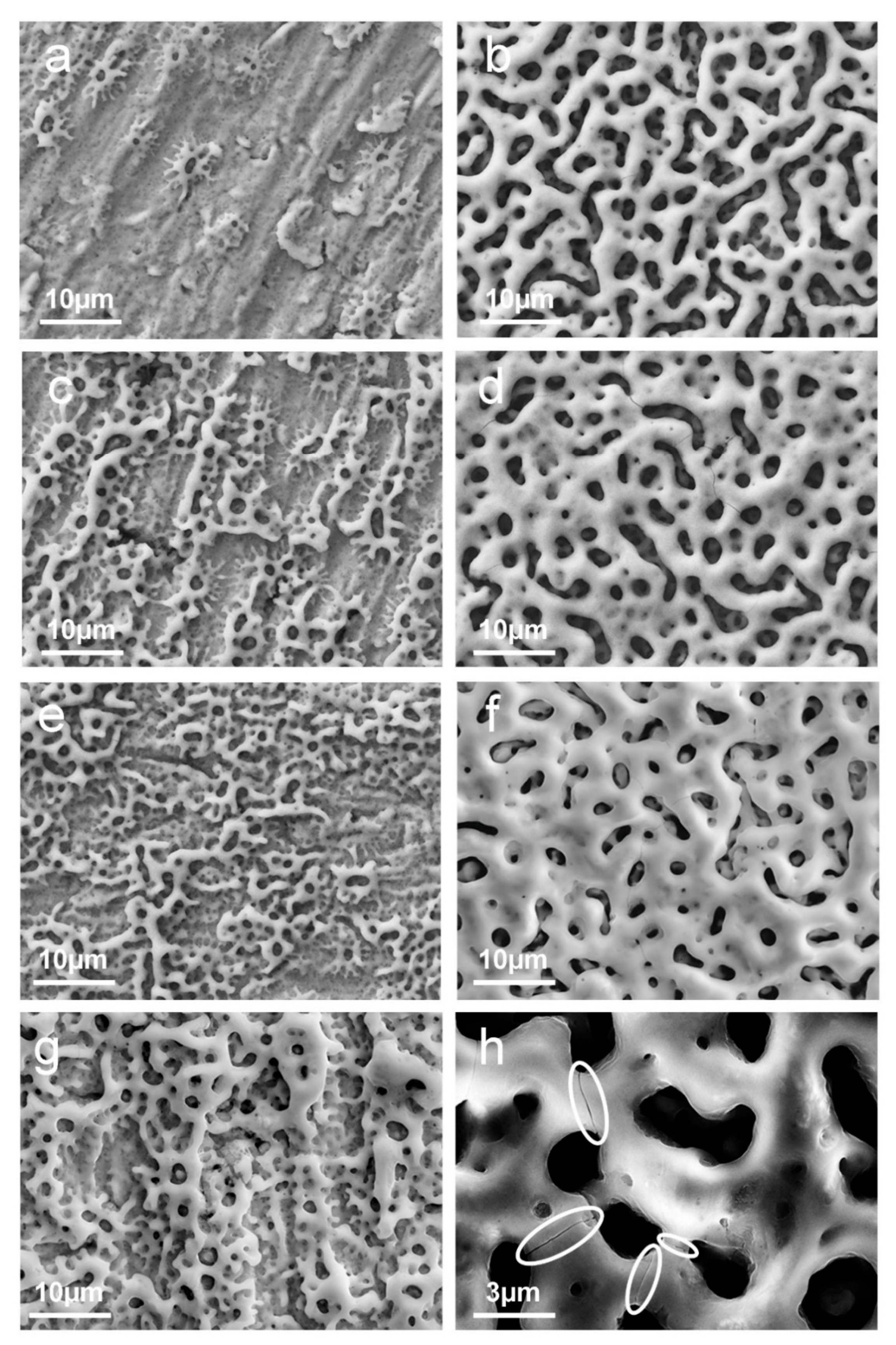 Materials 15 00473 g001 Materials 15 00473 g001