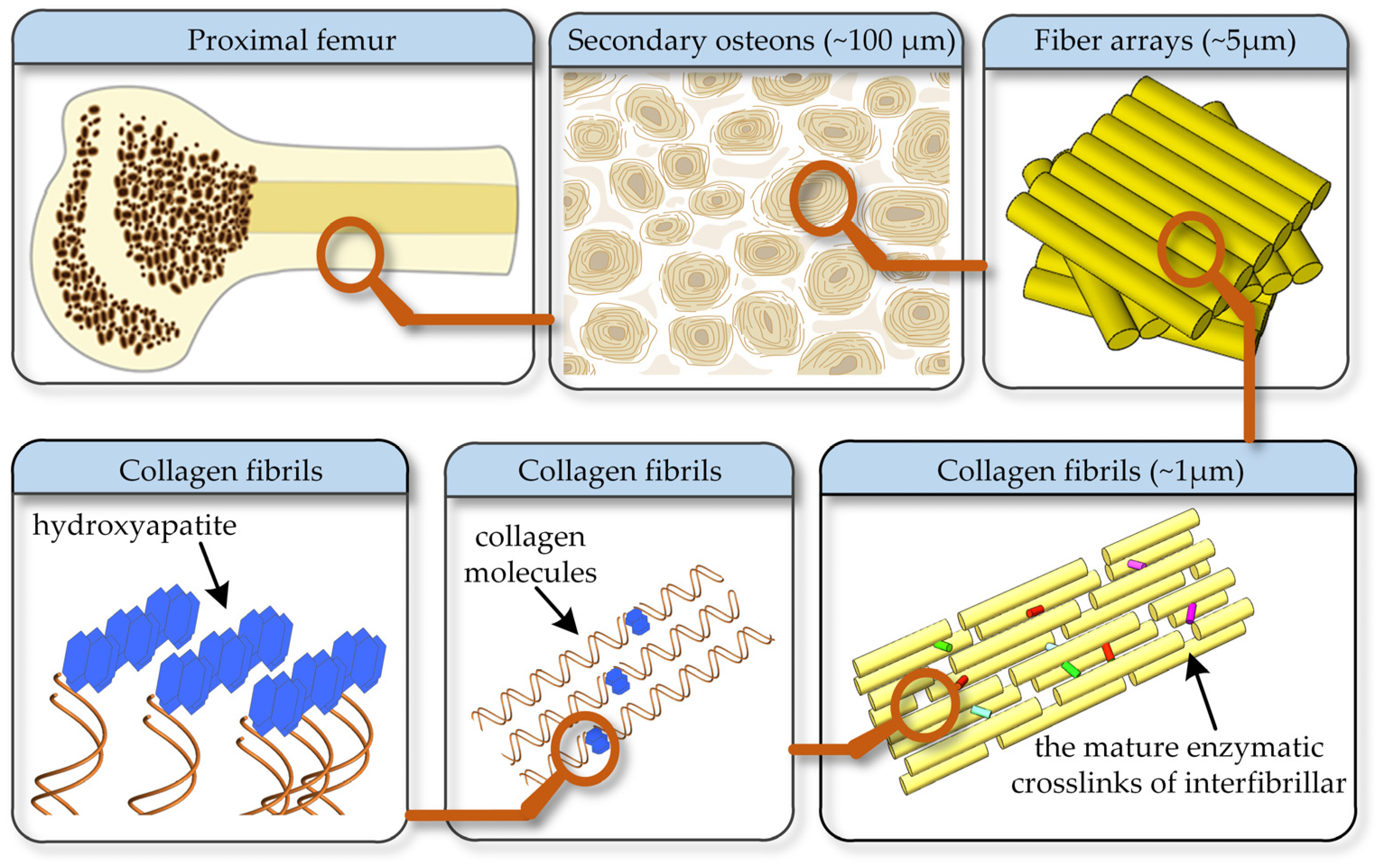 Materials 15 00474 g001