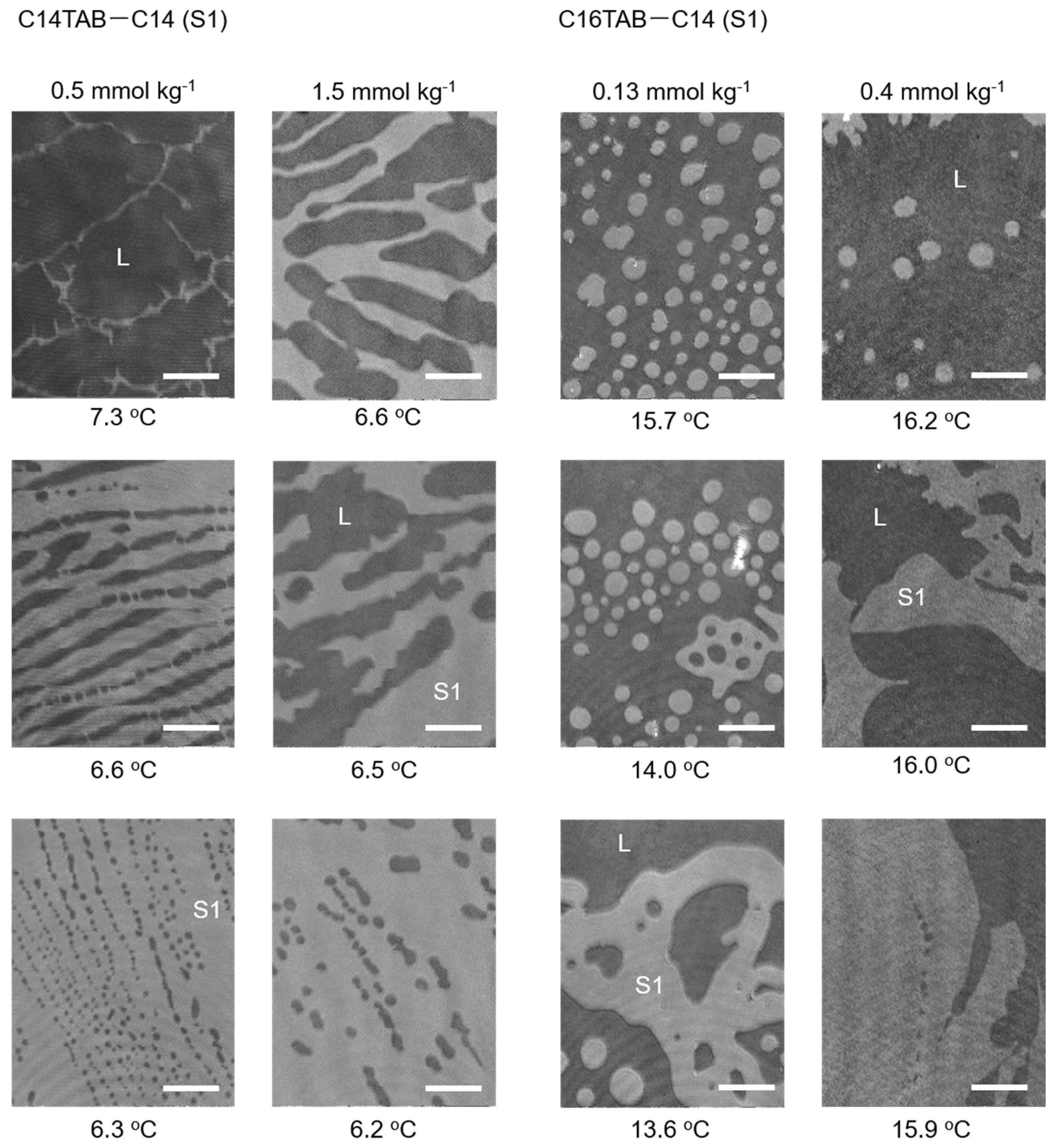 Materials 15 00485 g003 550