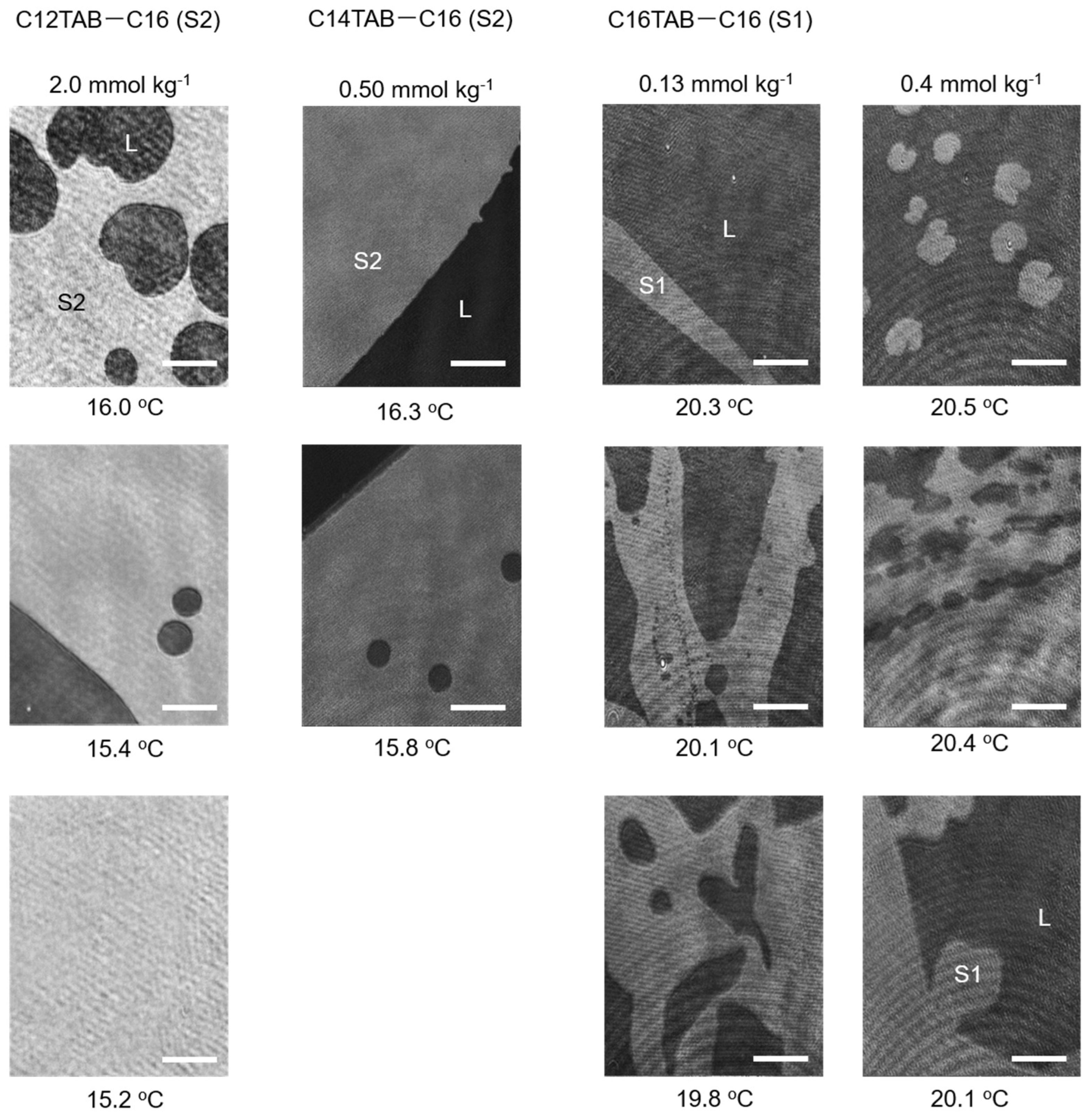 Materials 15 00485 g004 550