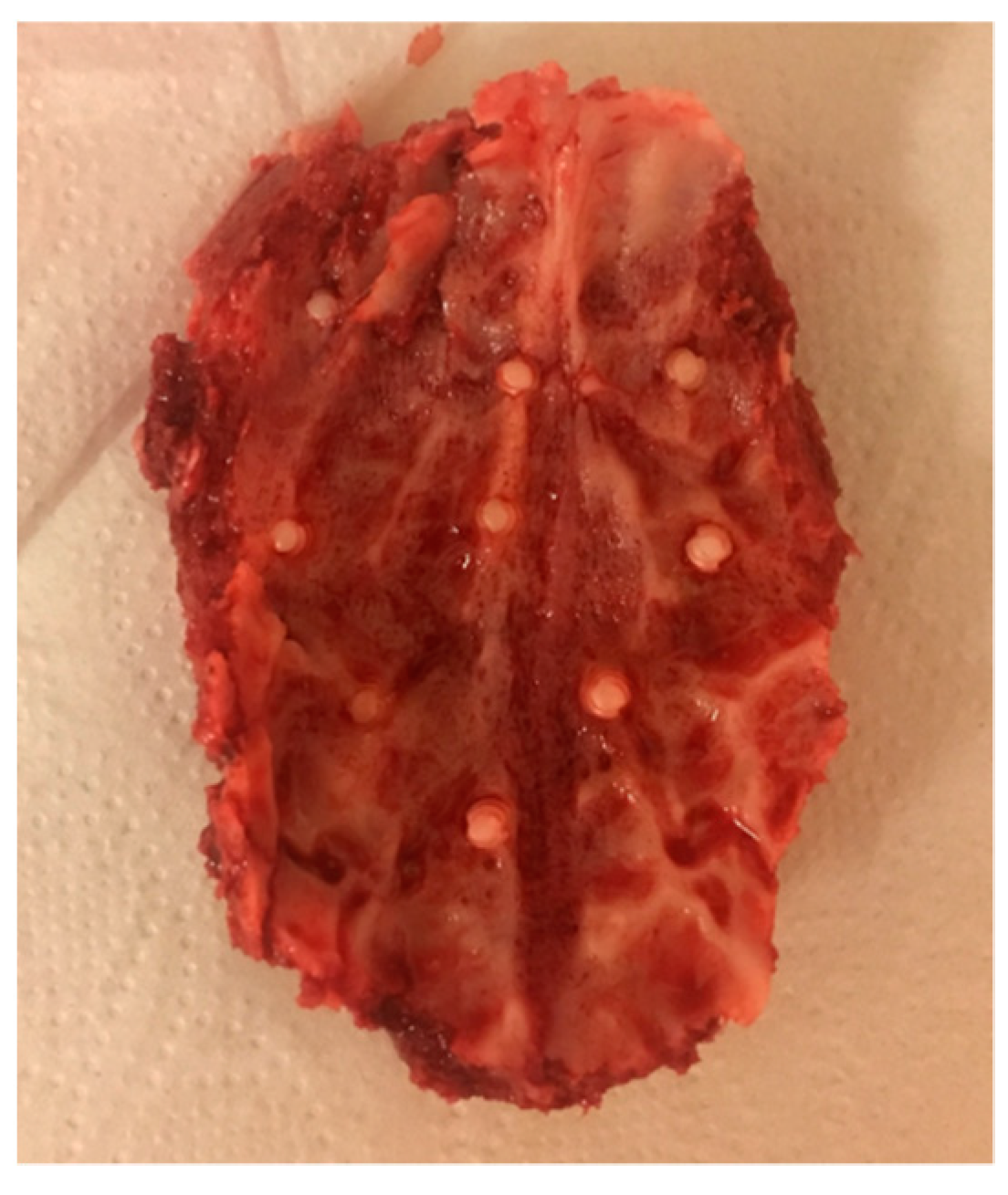 Materials 15 00496 g007