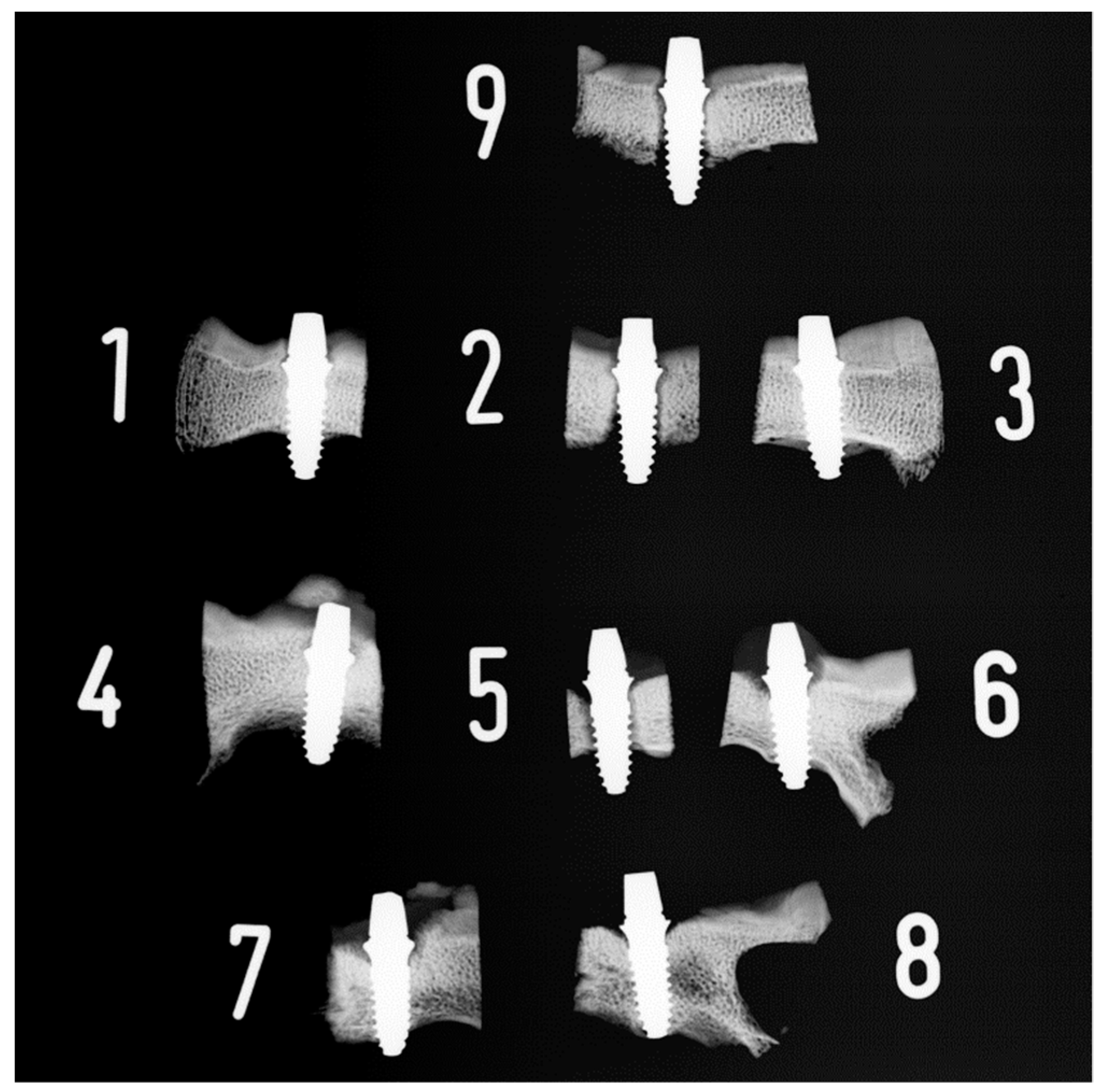 Materials 15 00496 g008