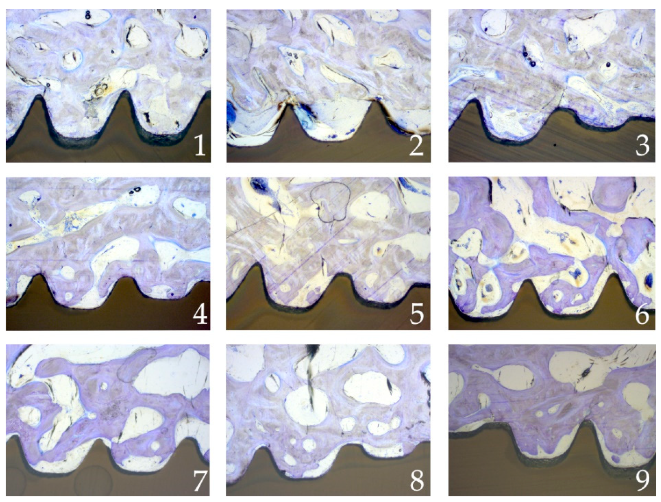 Materials 15 00496 g009