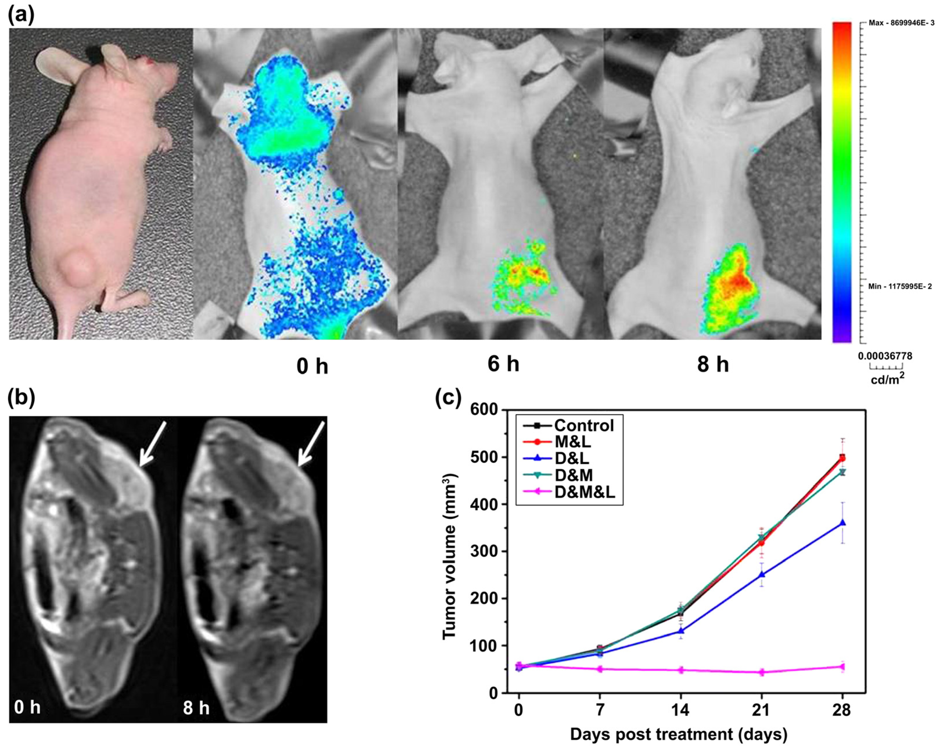 Materials 15 00503 g005