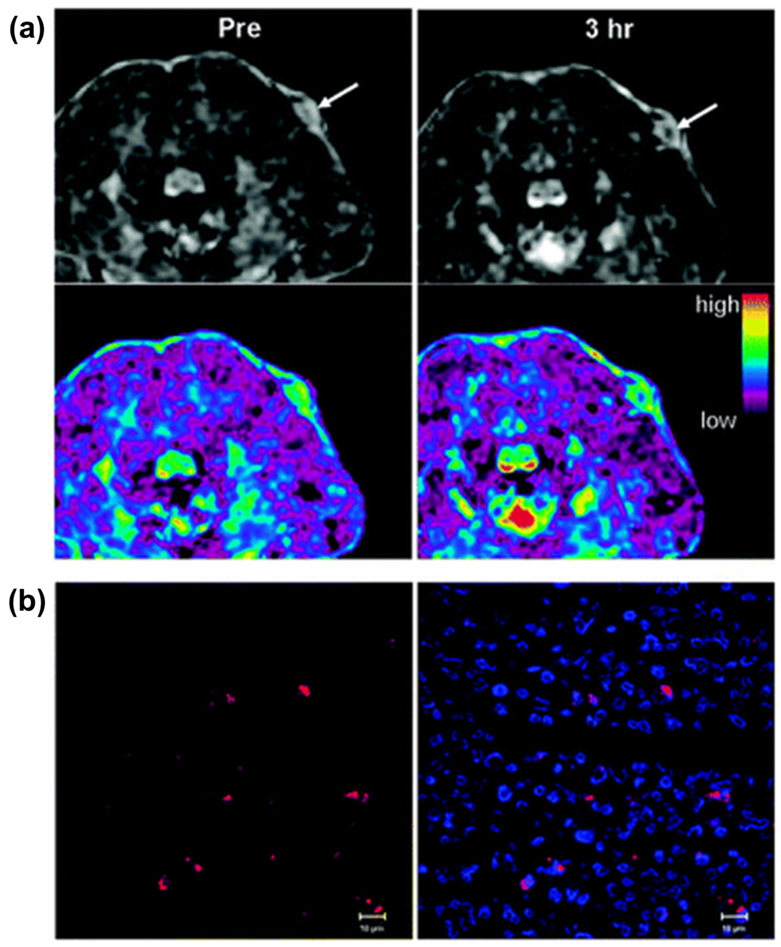 Materials 15 00503 g006