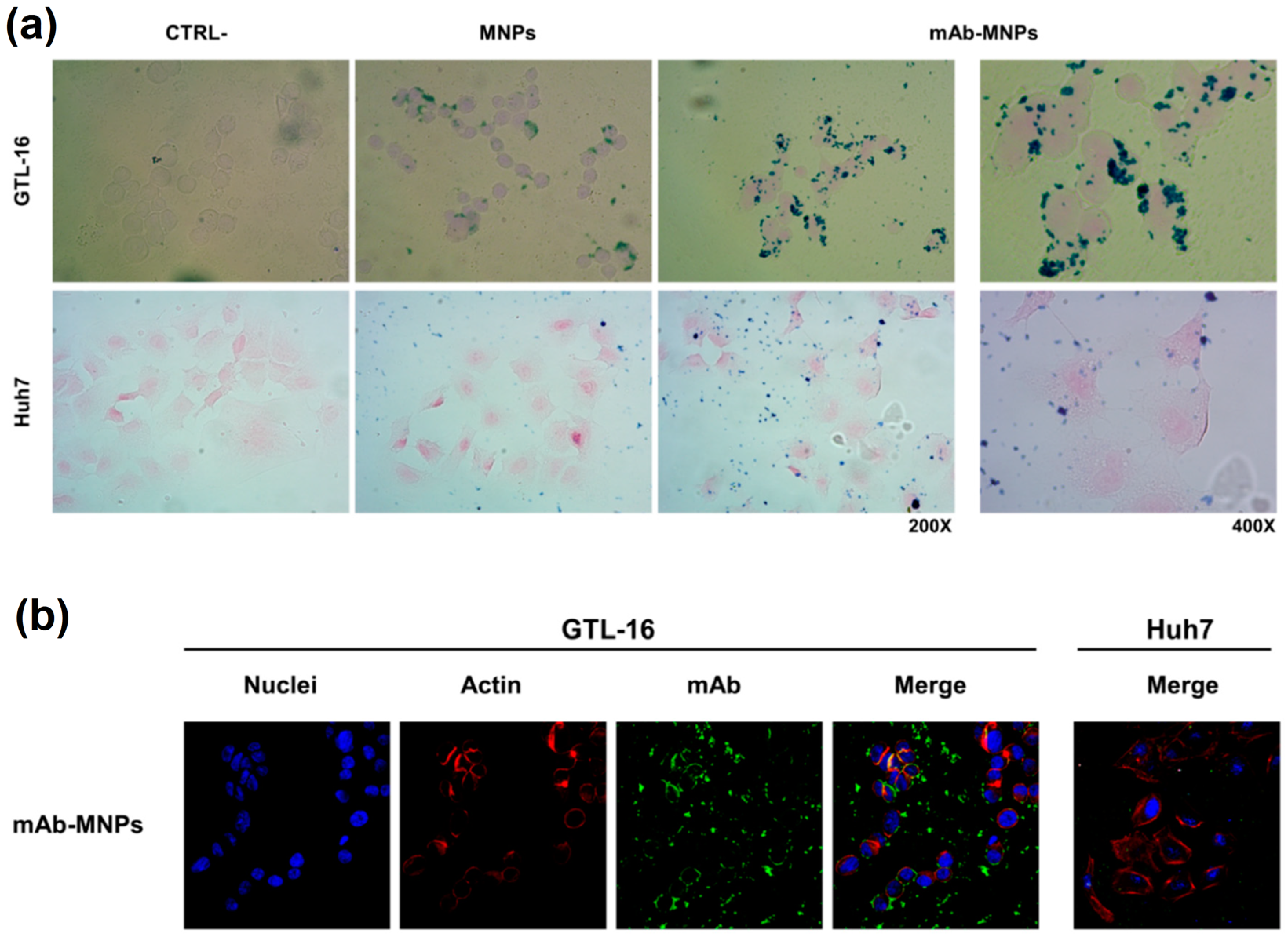 Materials 15 00503 g013