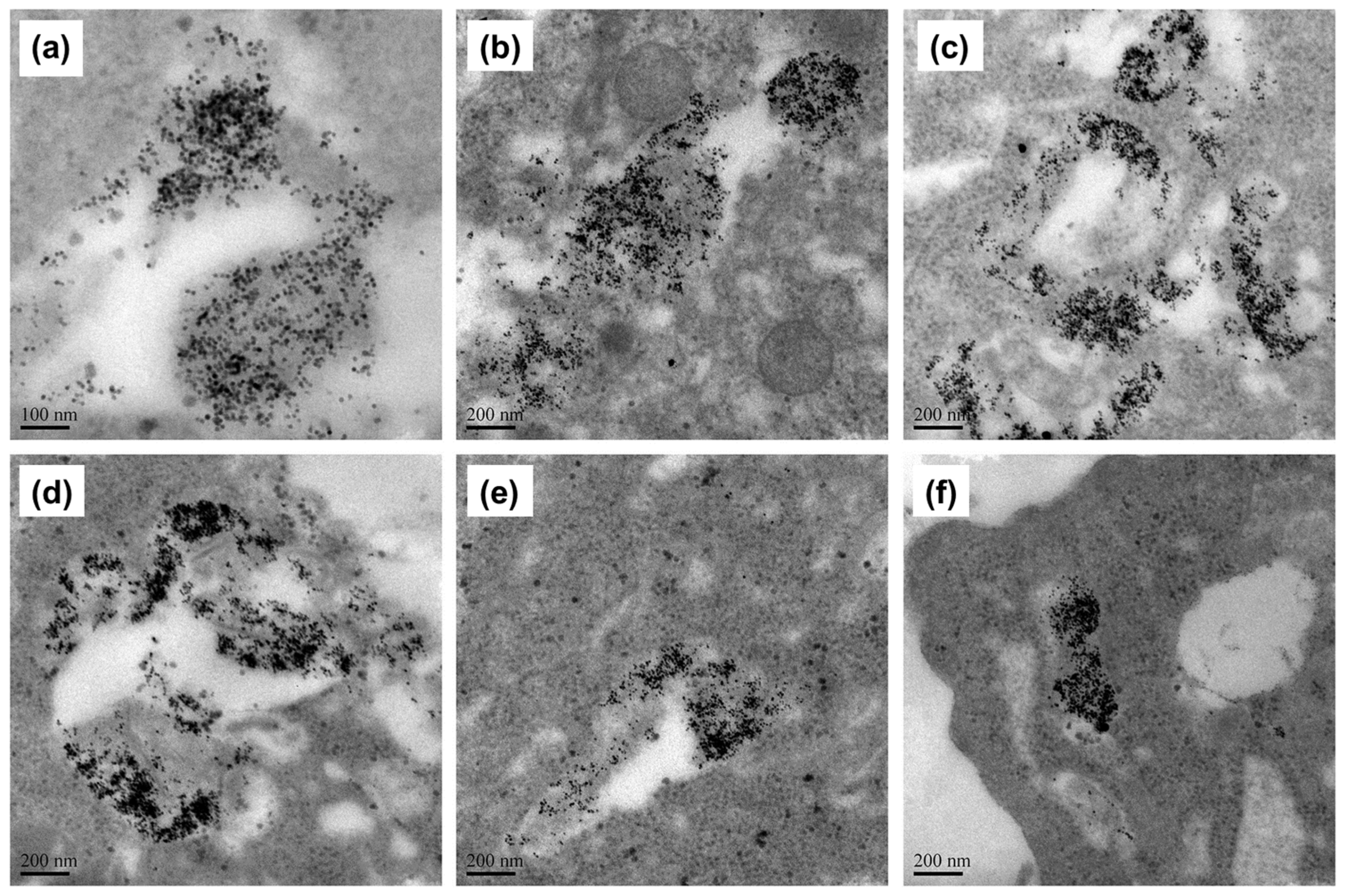 Materials 15 00503 g022
