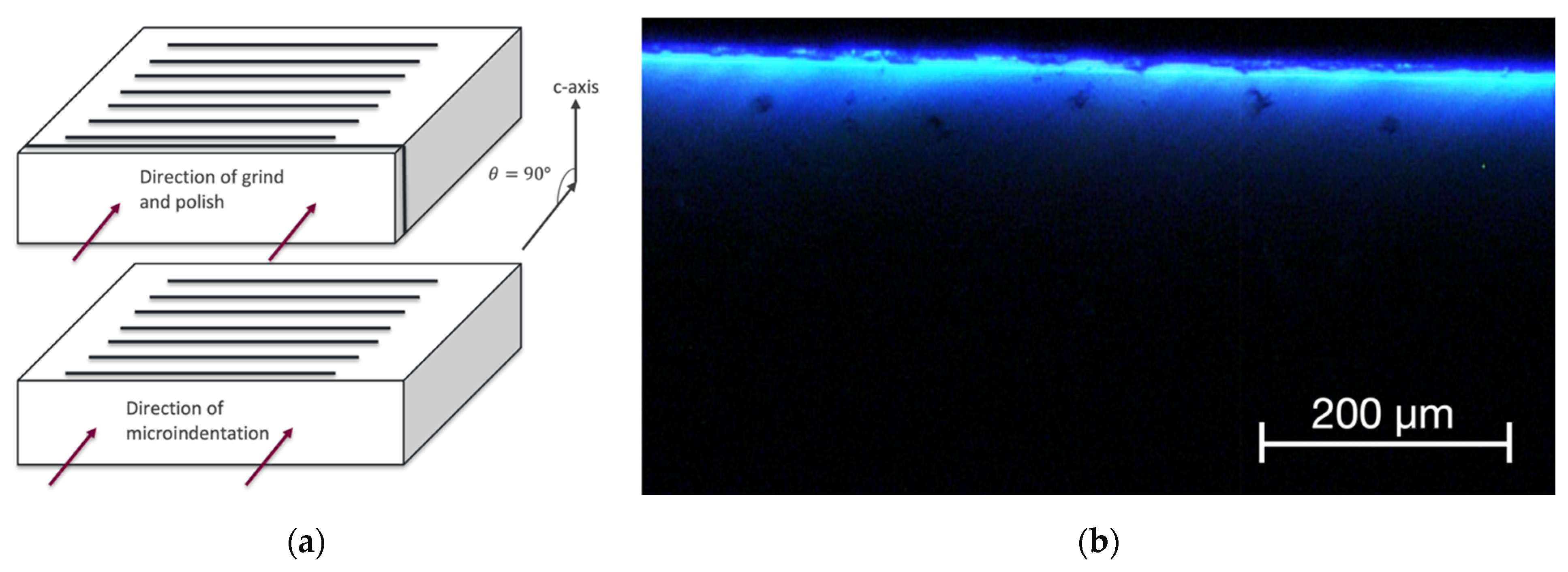 Materials 15 00534 g007