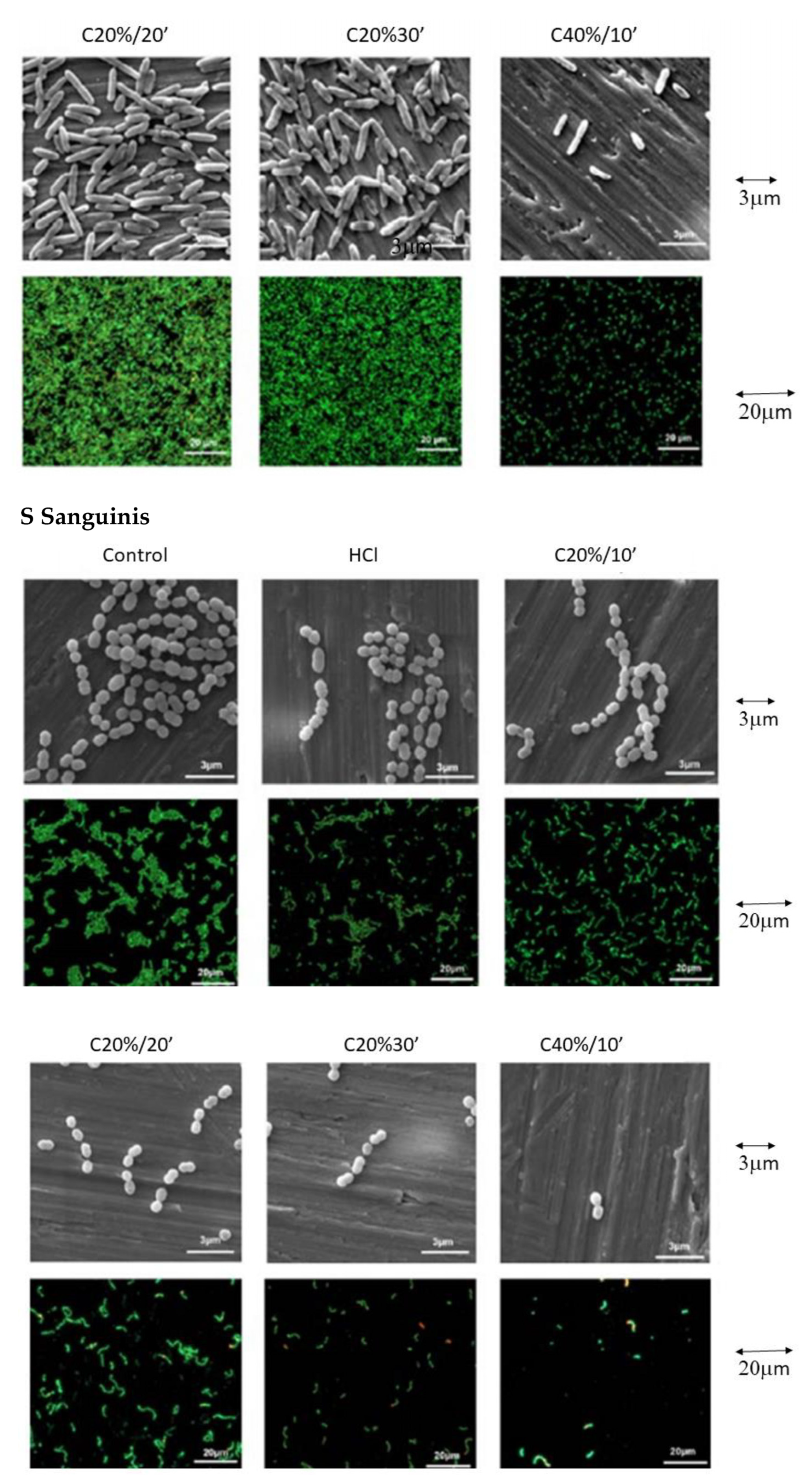 Materials 15 00545 g007b 550