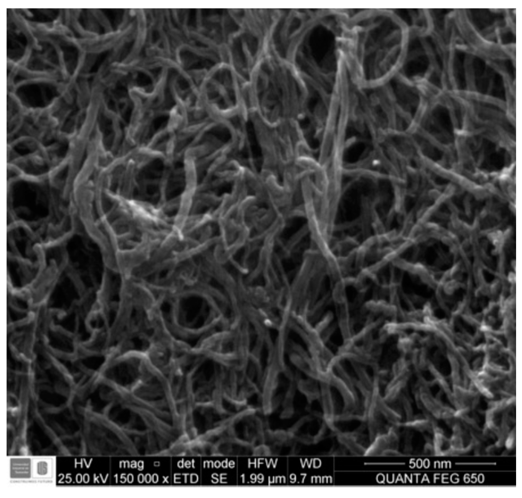 Materials 15 00556 g001 550