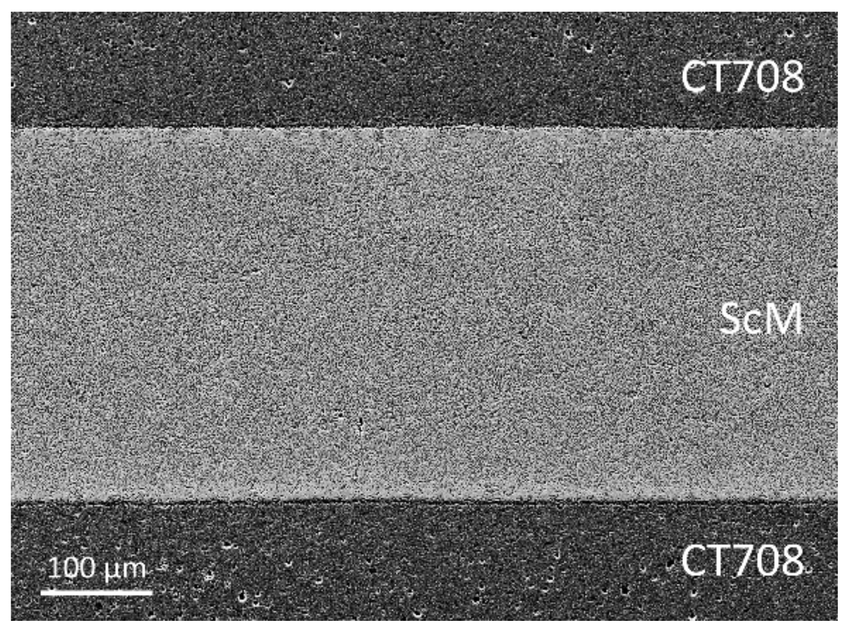 Materials 15 00564 g008