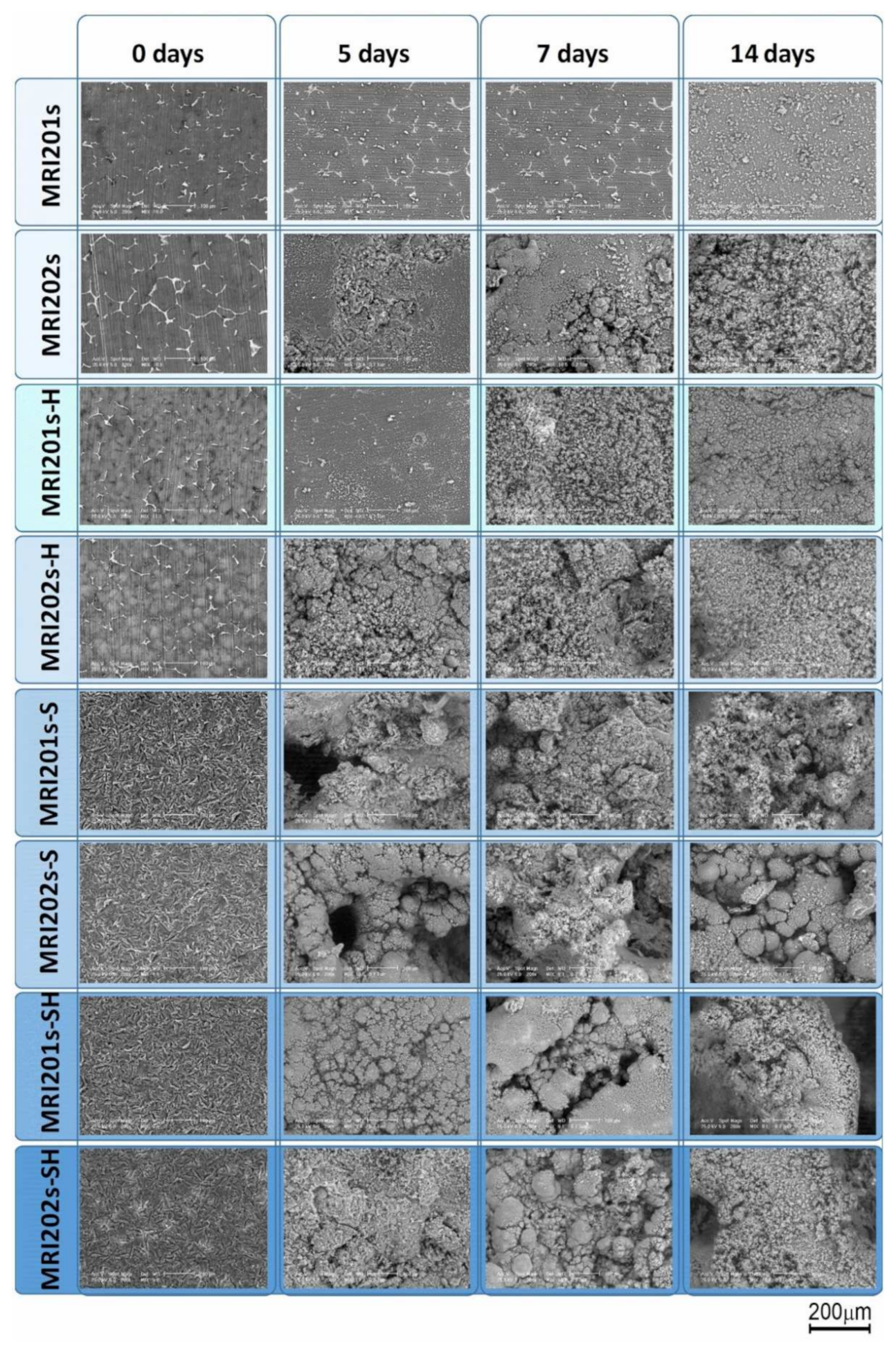 Materials 15 00566 g011