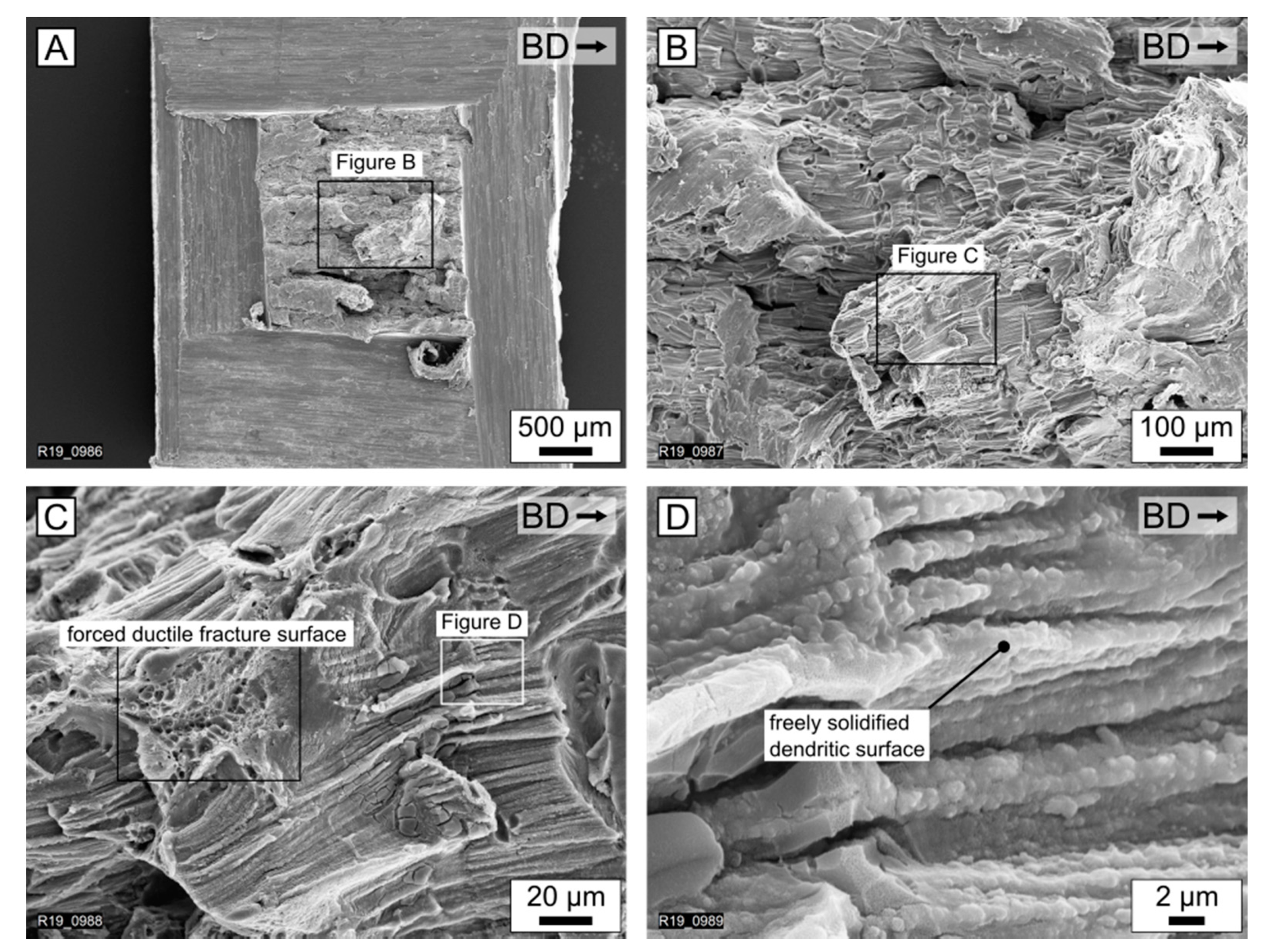 Materials 15 00572 g004 550
