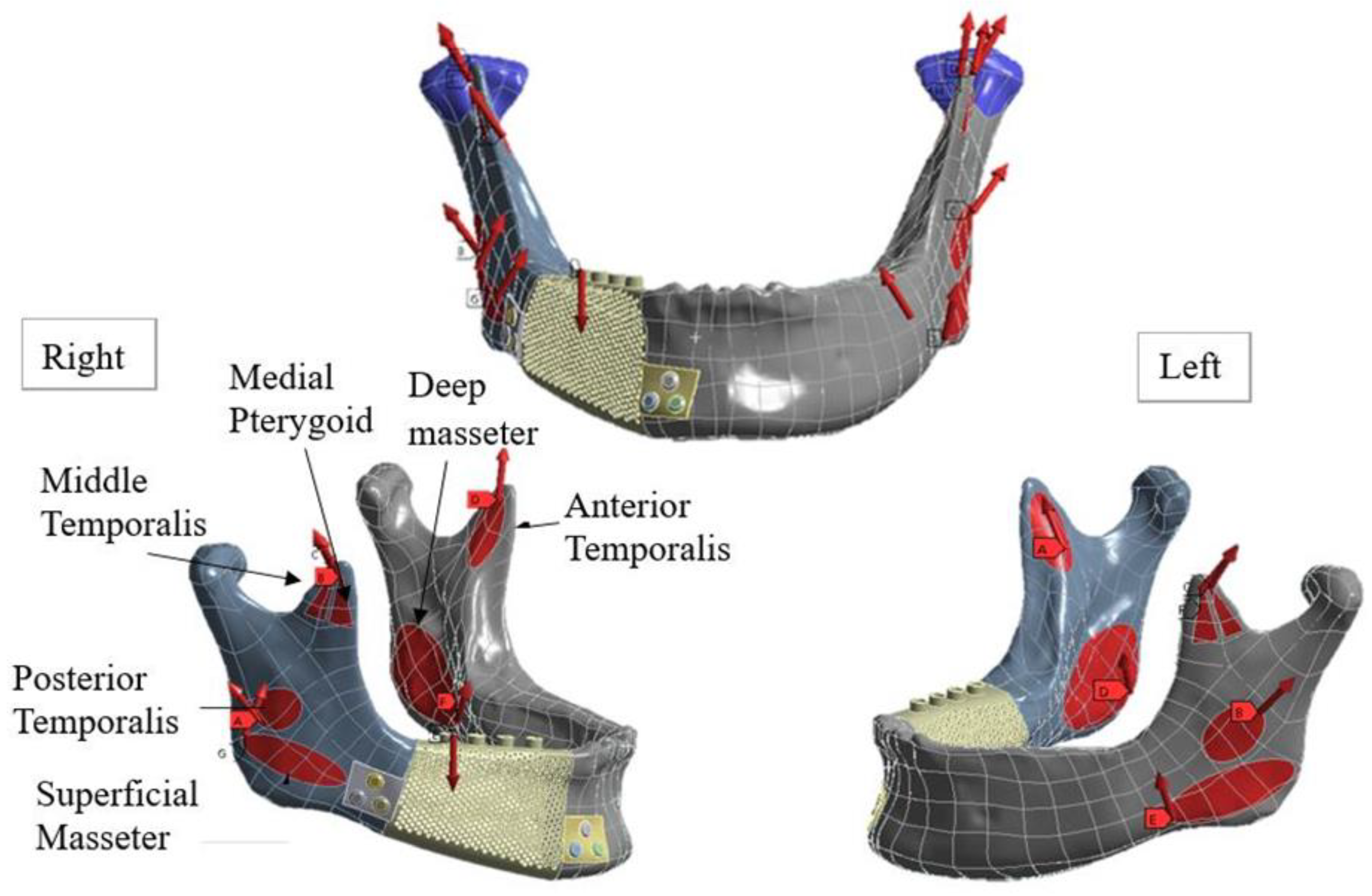 Materials 15 00576 g003 550