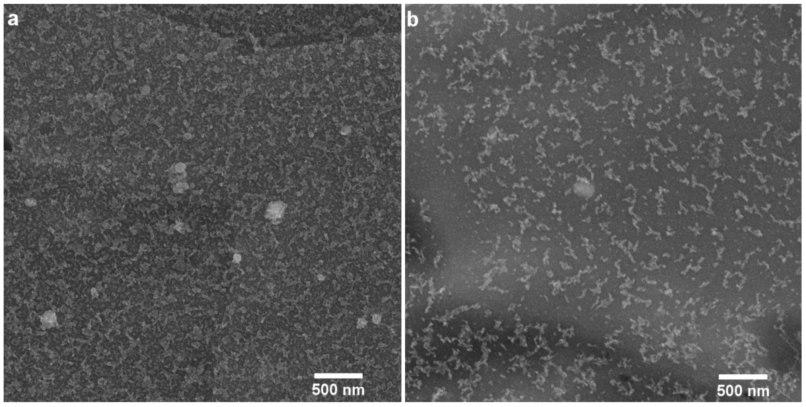 Materials 15 00589 g005 550