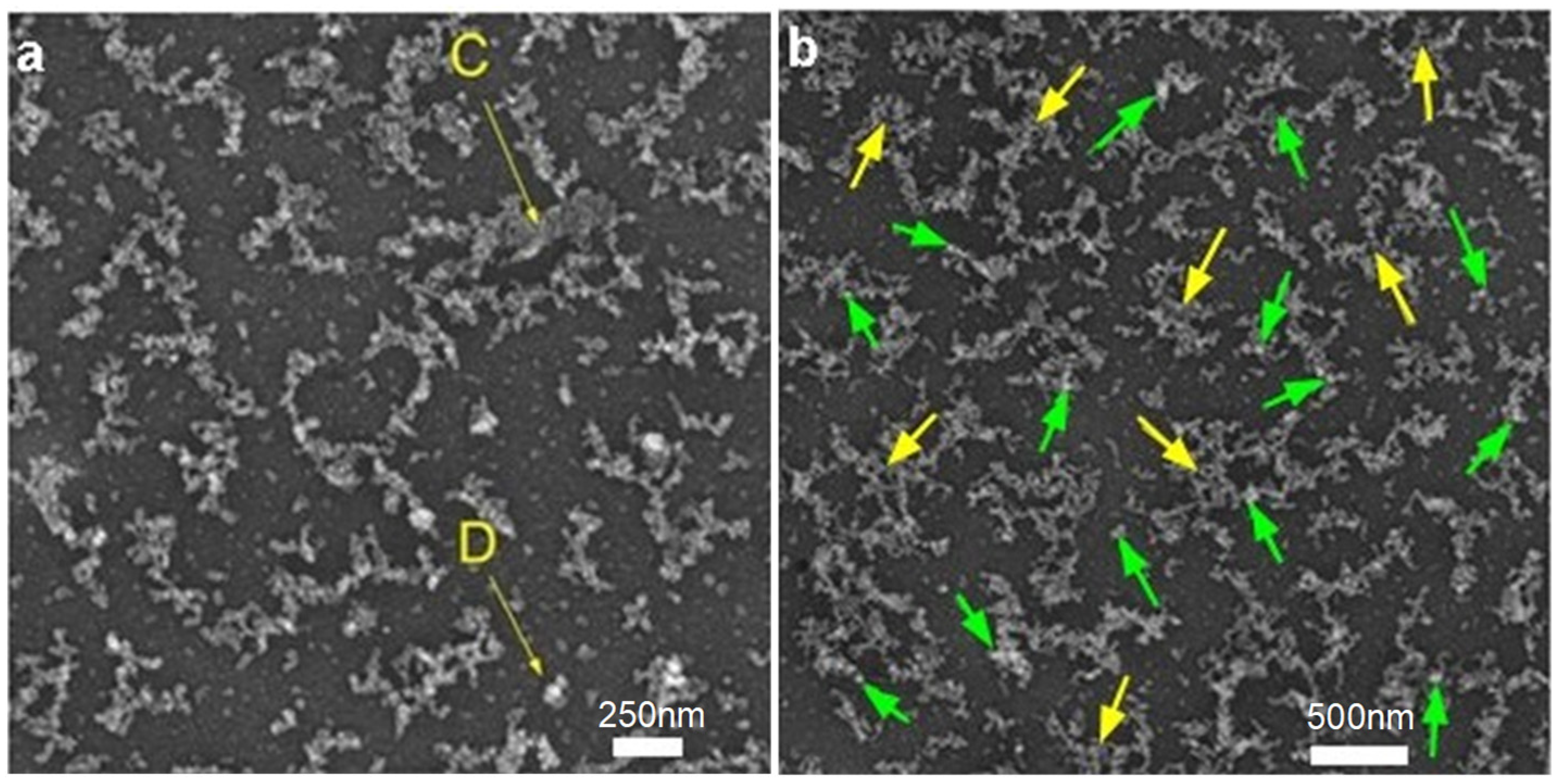 Materials 15 00589 g009a 550