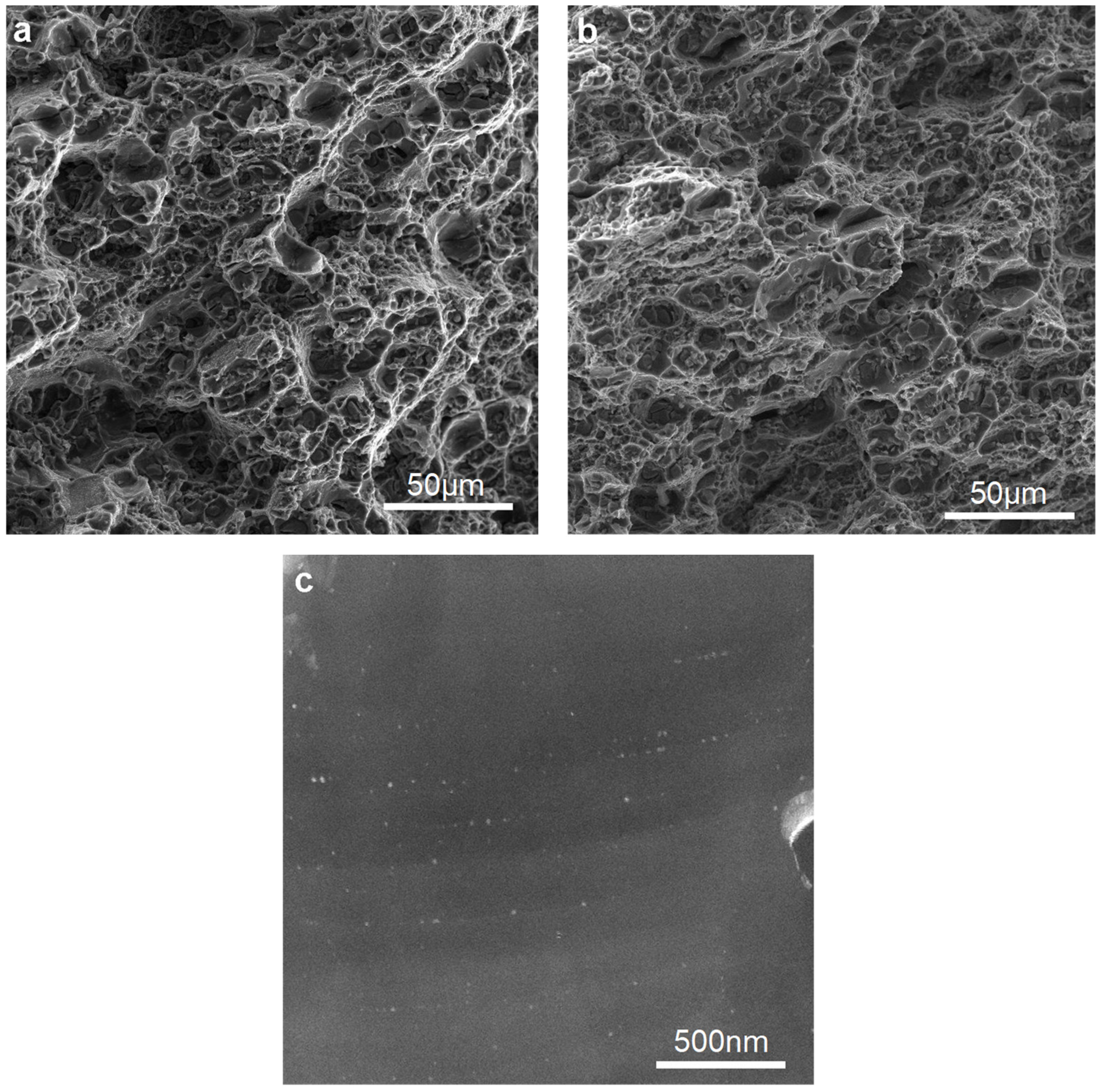 Materials 15 00589 g012 550