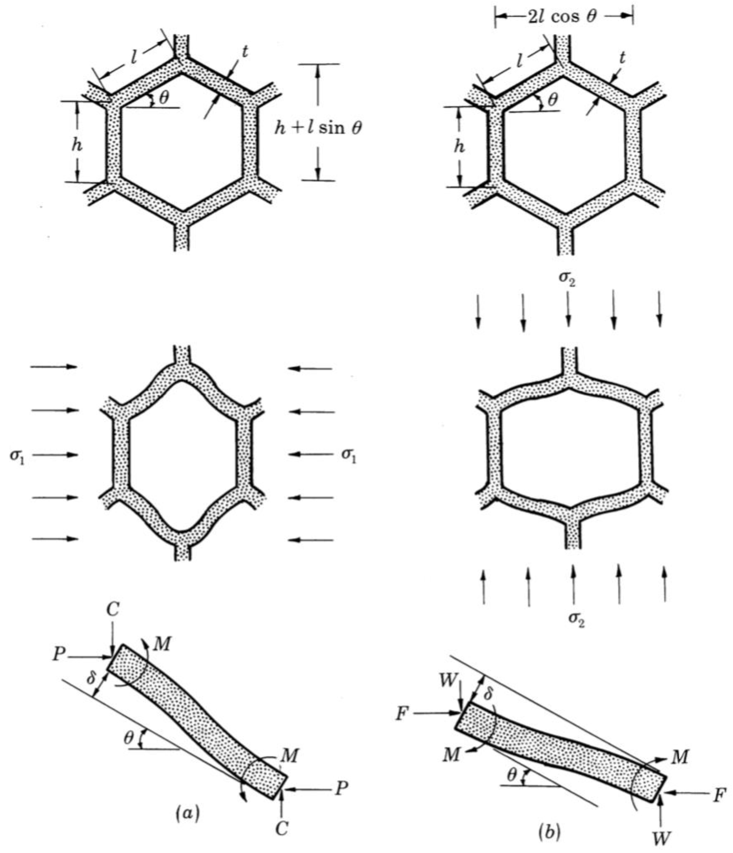 Materials 15 00605 g006