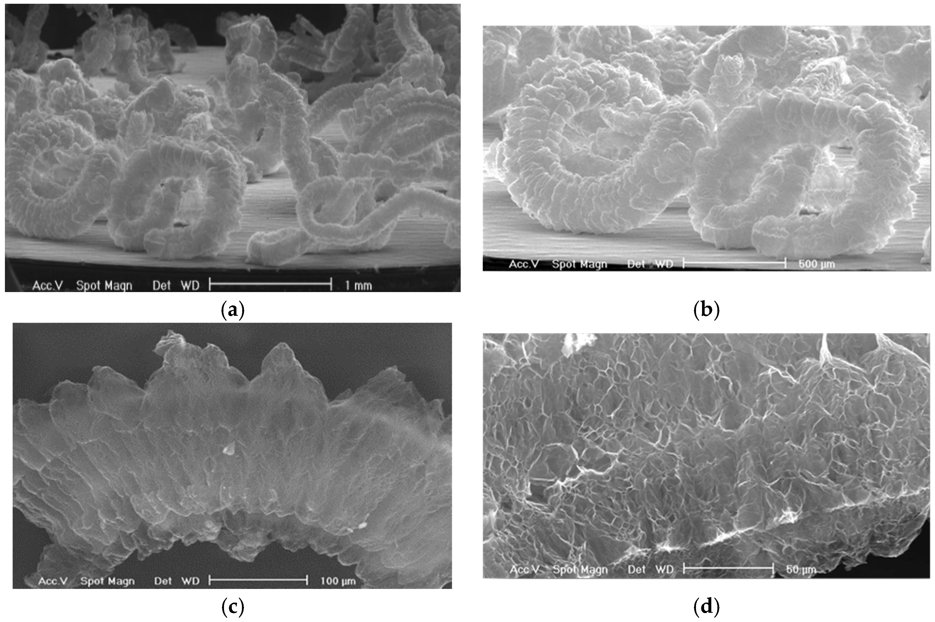 Materials 15 00609 g002 550