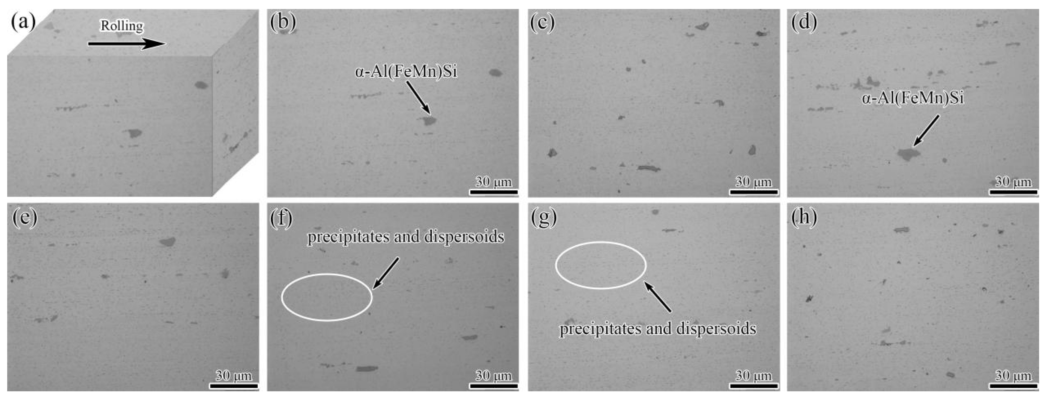 Materials 15 00623 g003