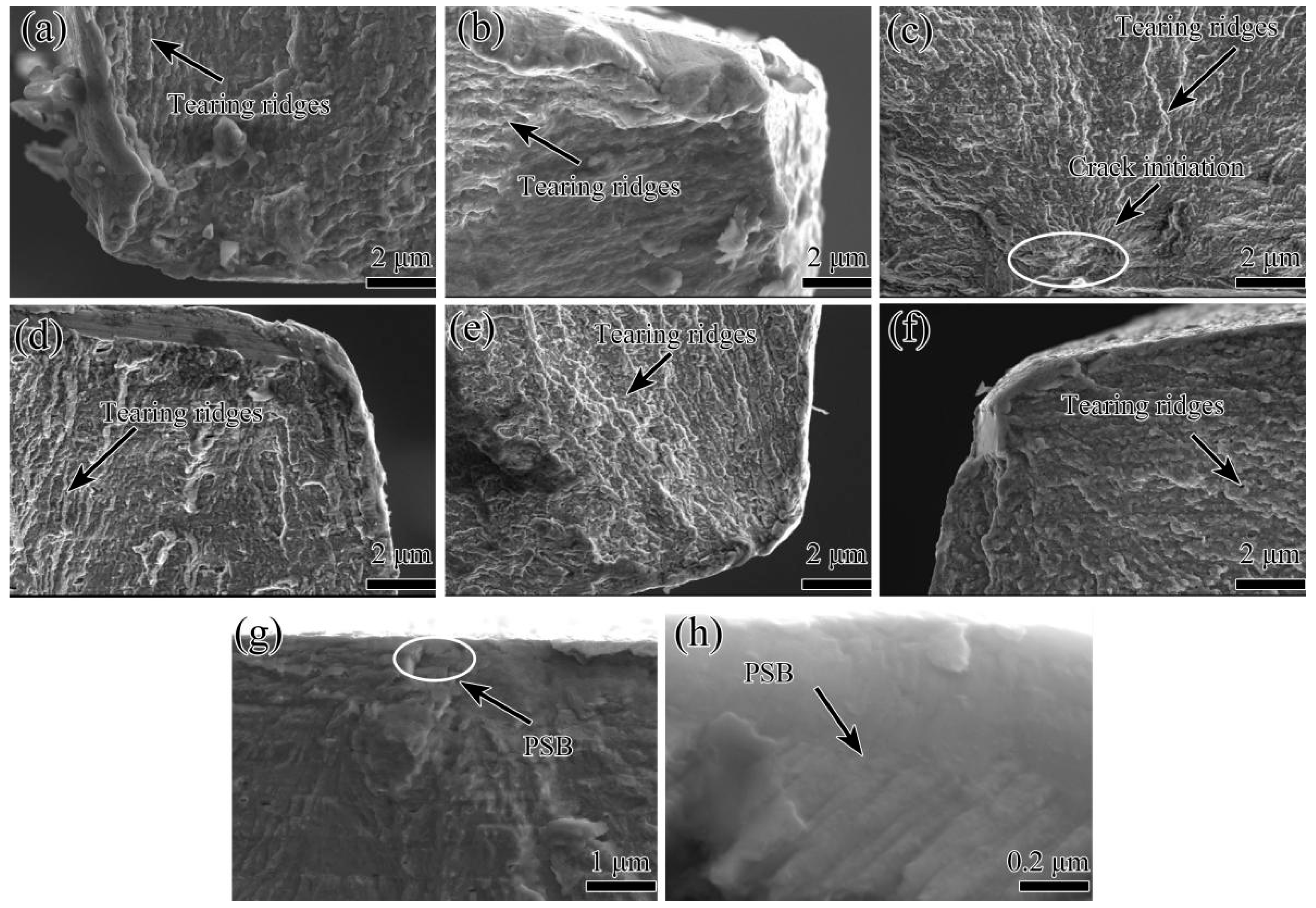 Materials 15 00623 g009