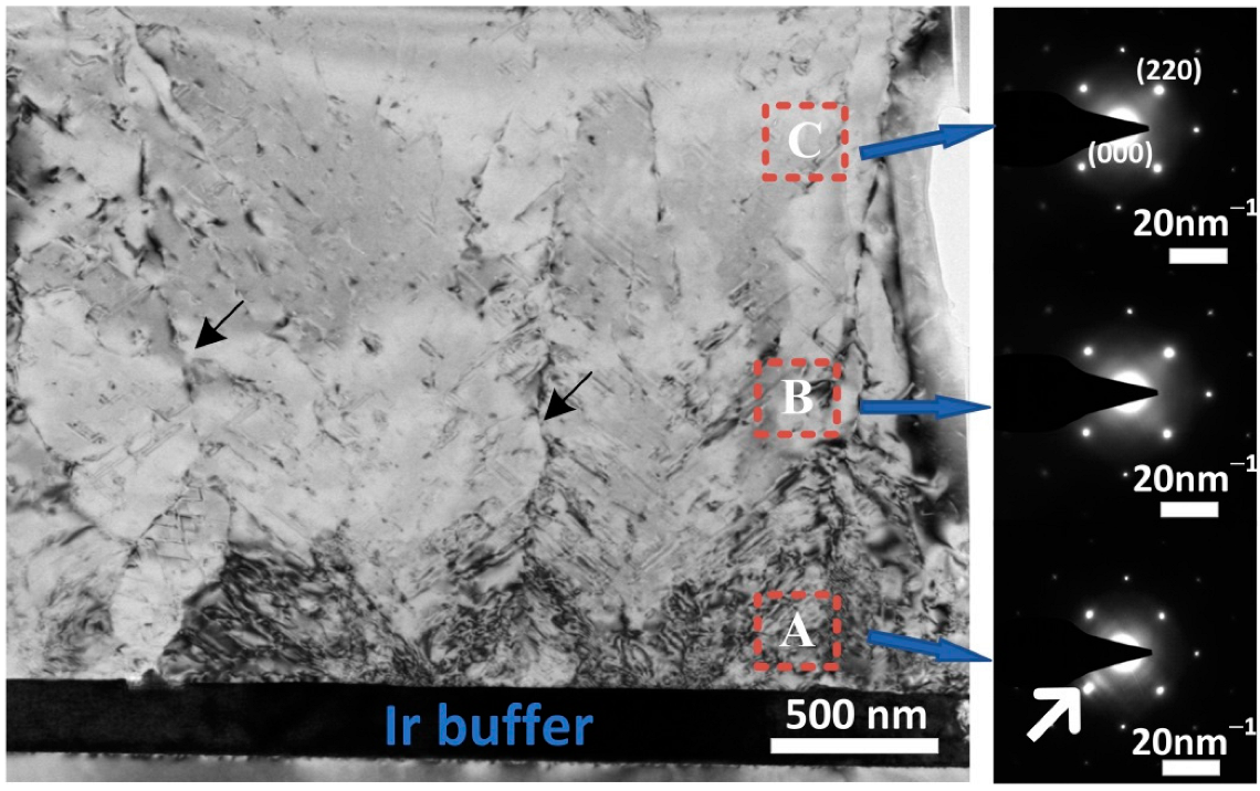 Materials 15 00624 g004 550
