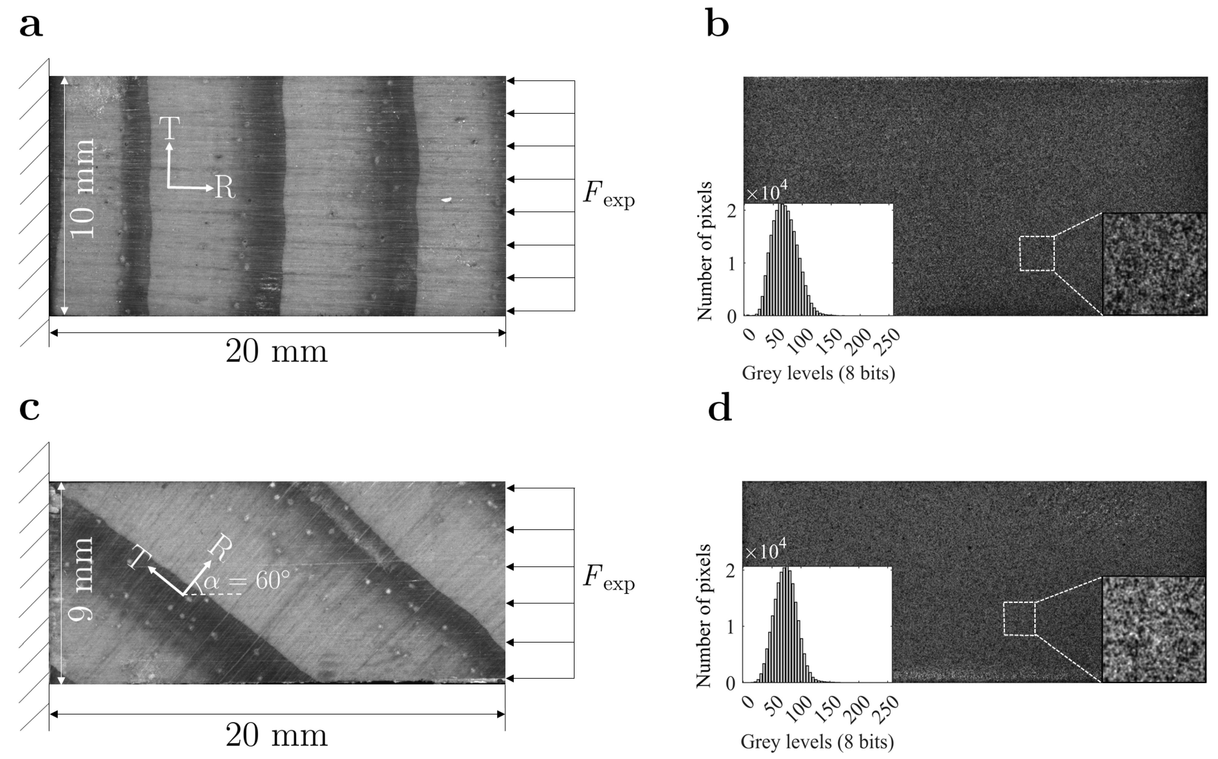 Materials 15 00625 g002