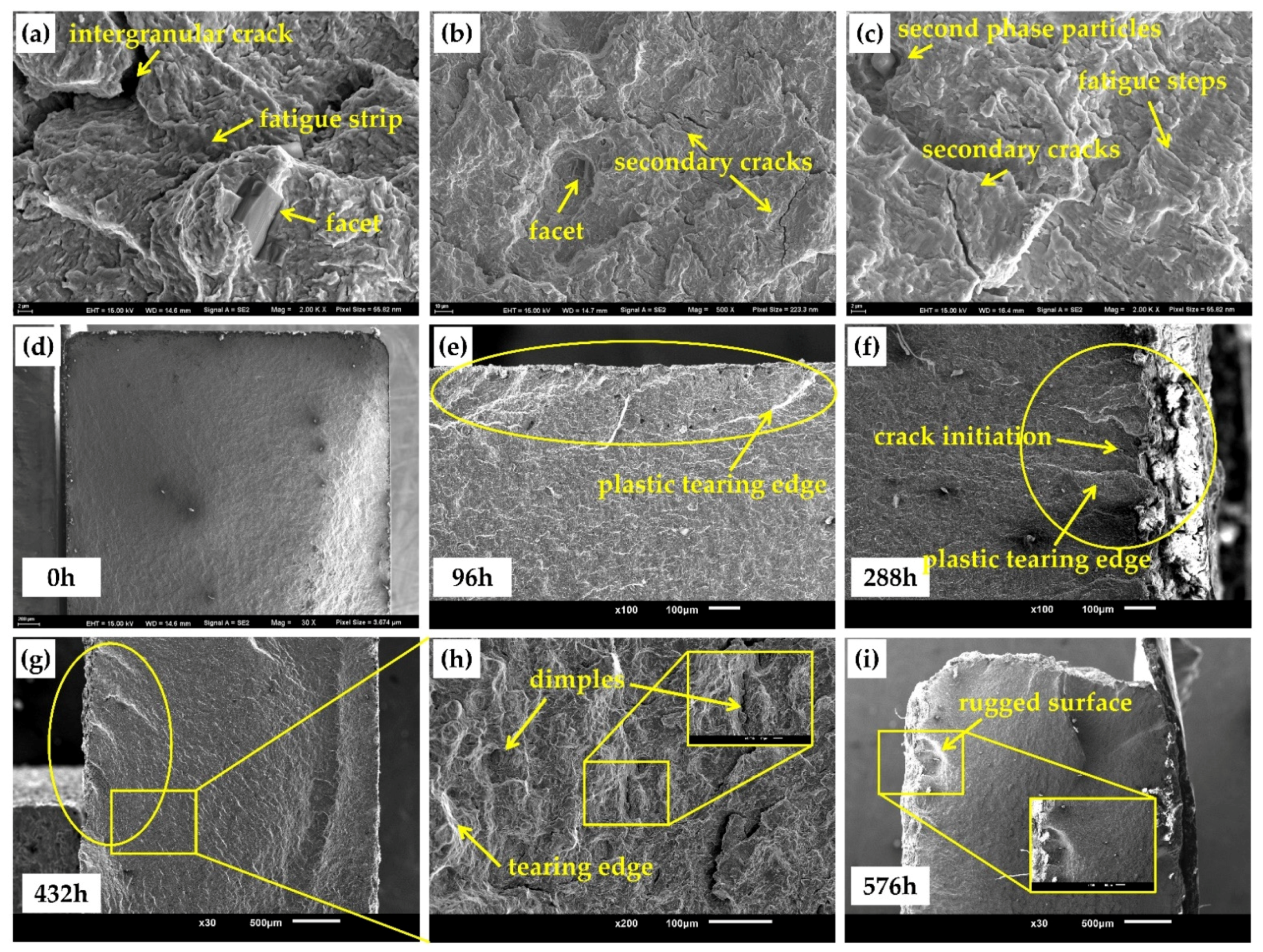 Materials 15 00629 g011
