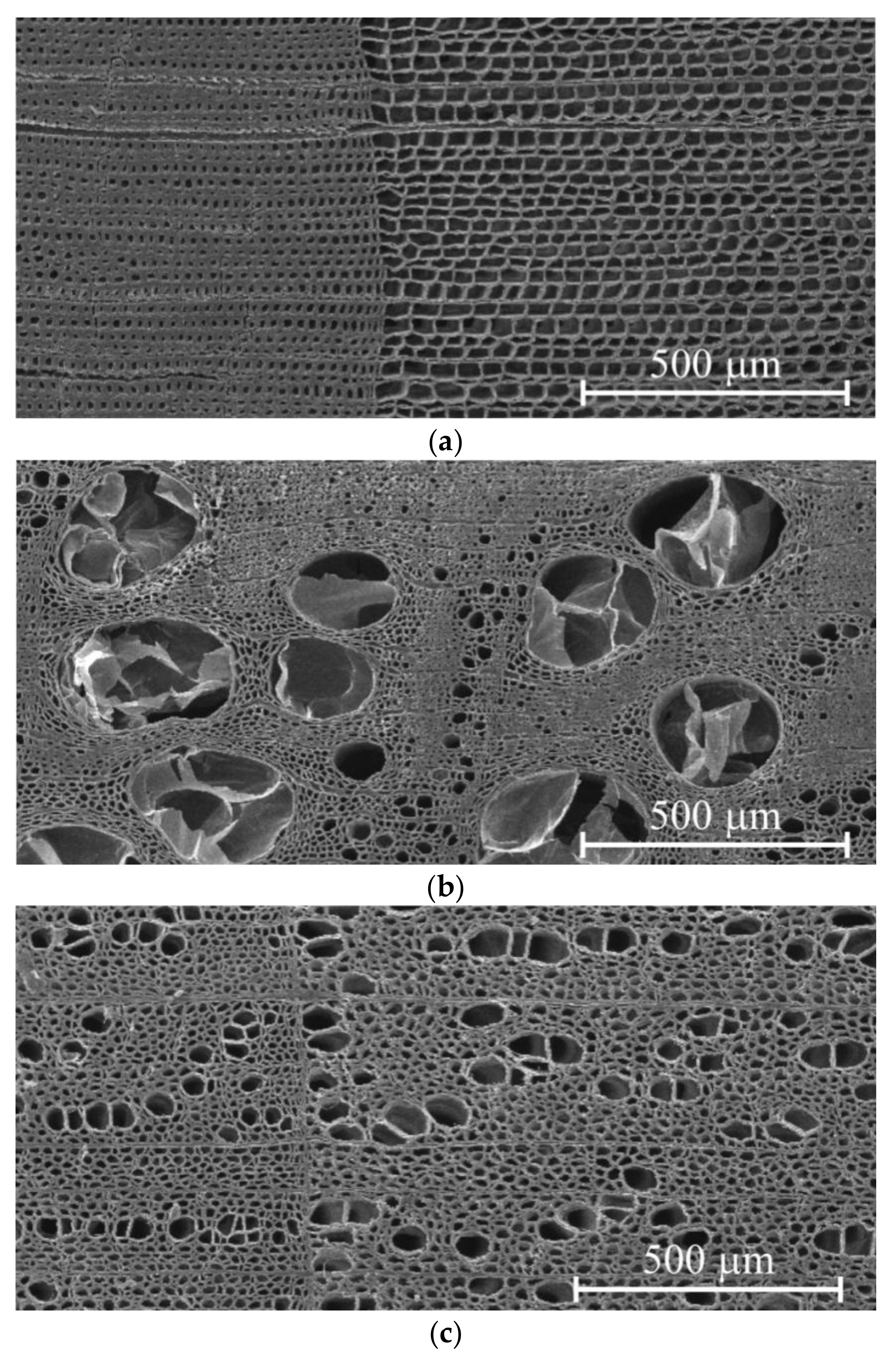 Materials 15 00632 g001