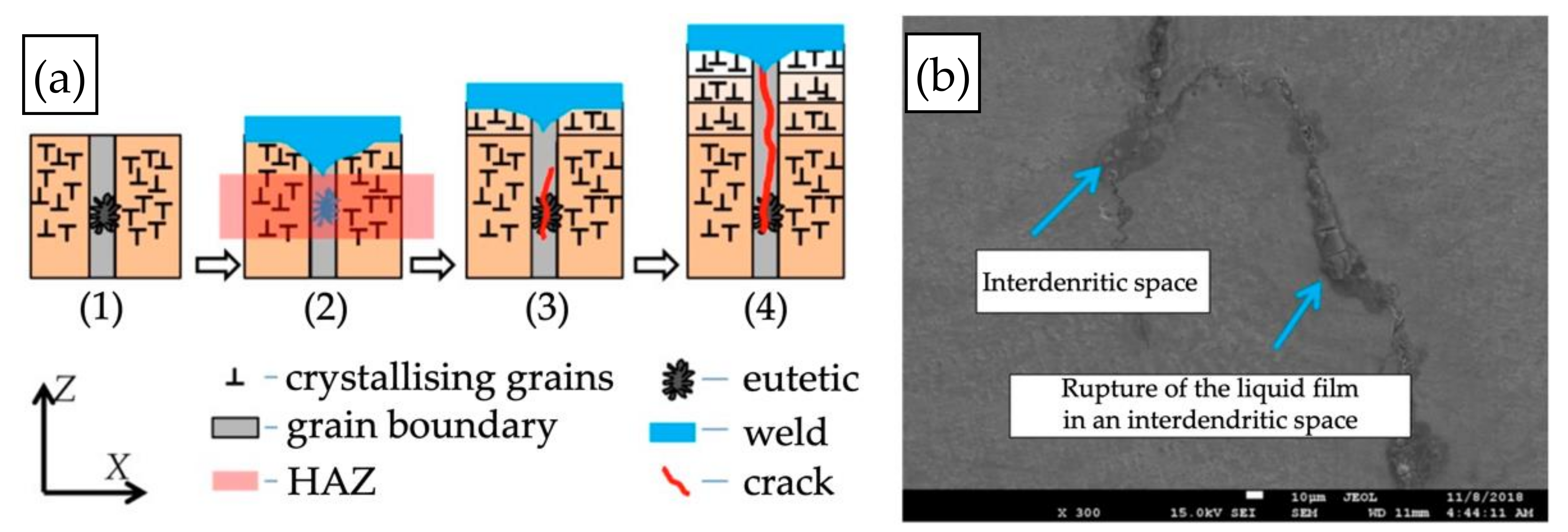 Materials 15 00634 g005 550