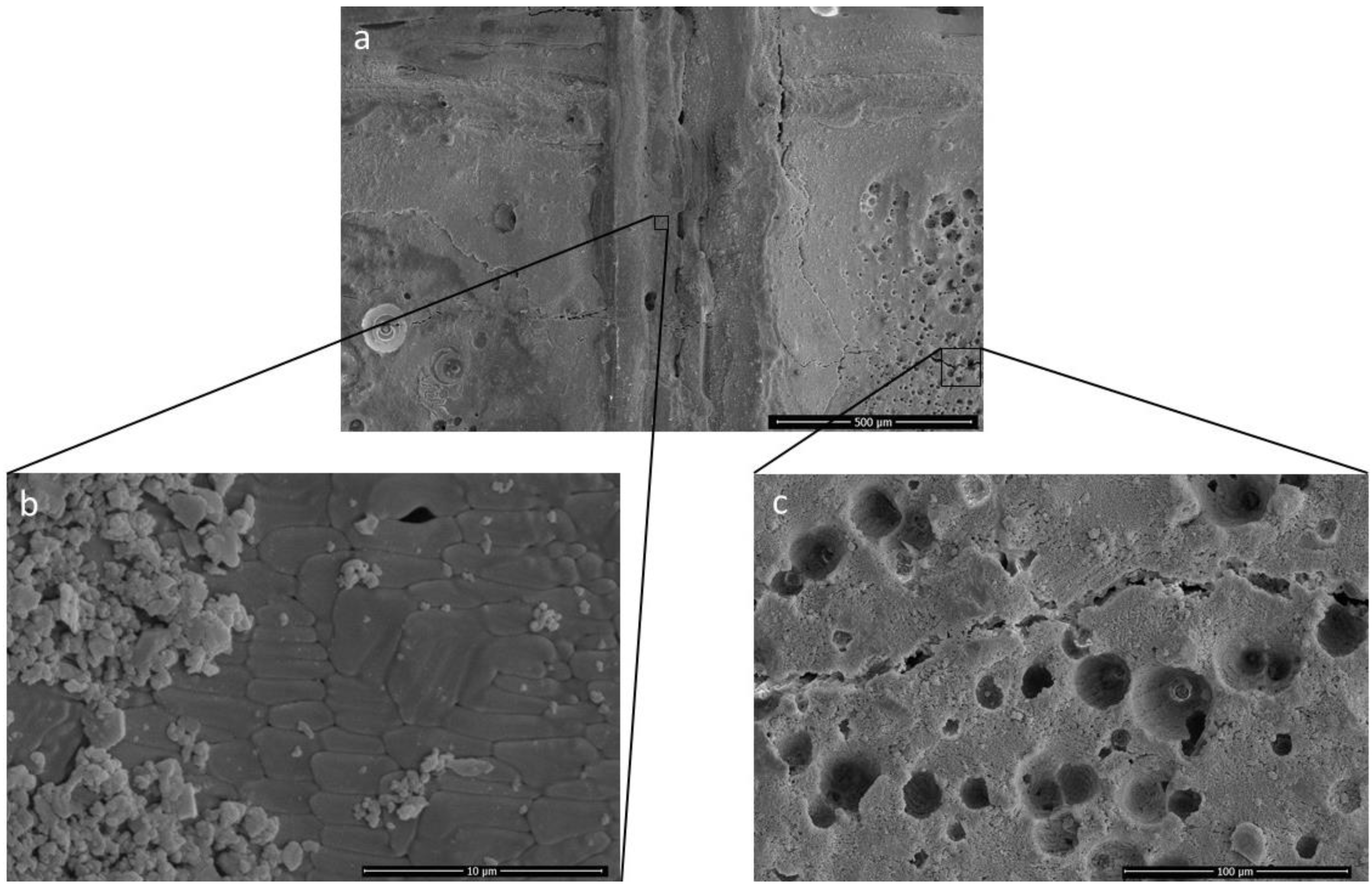 Materials 15 00637 g004 550