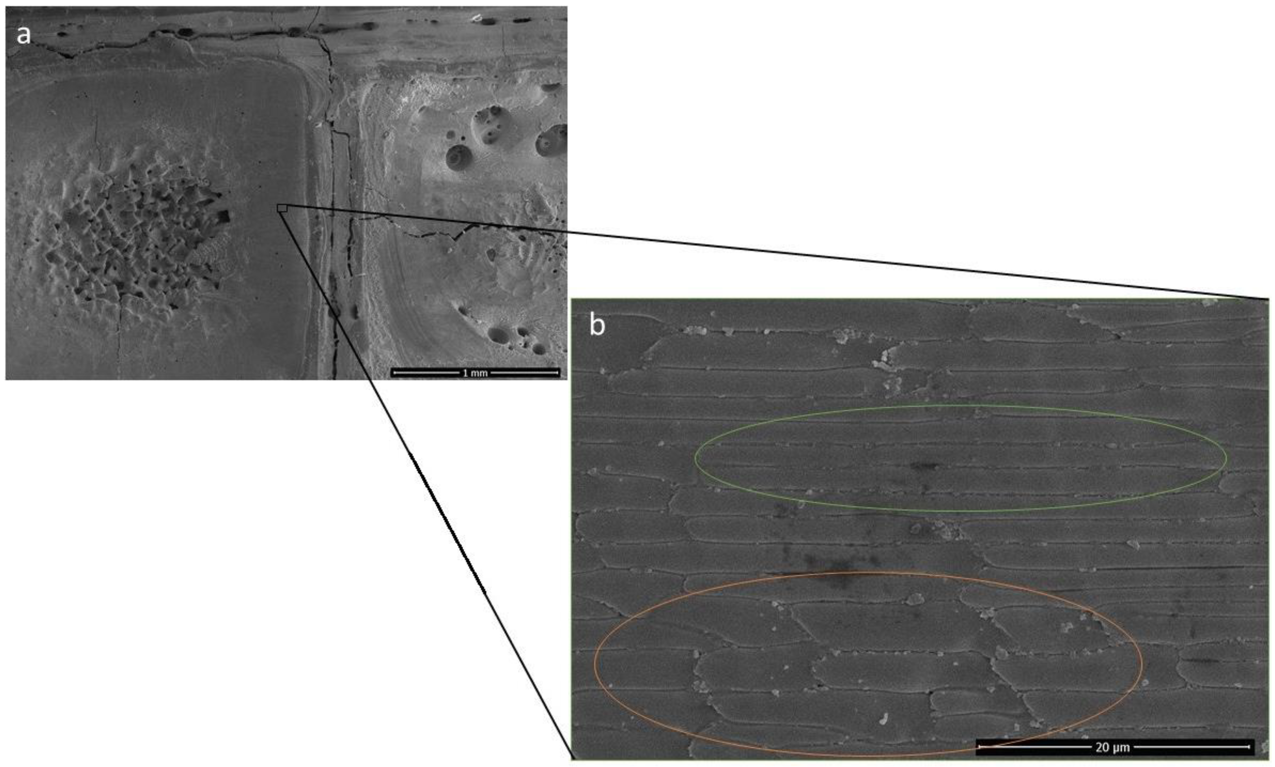 Materials 15 00637 g005 550