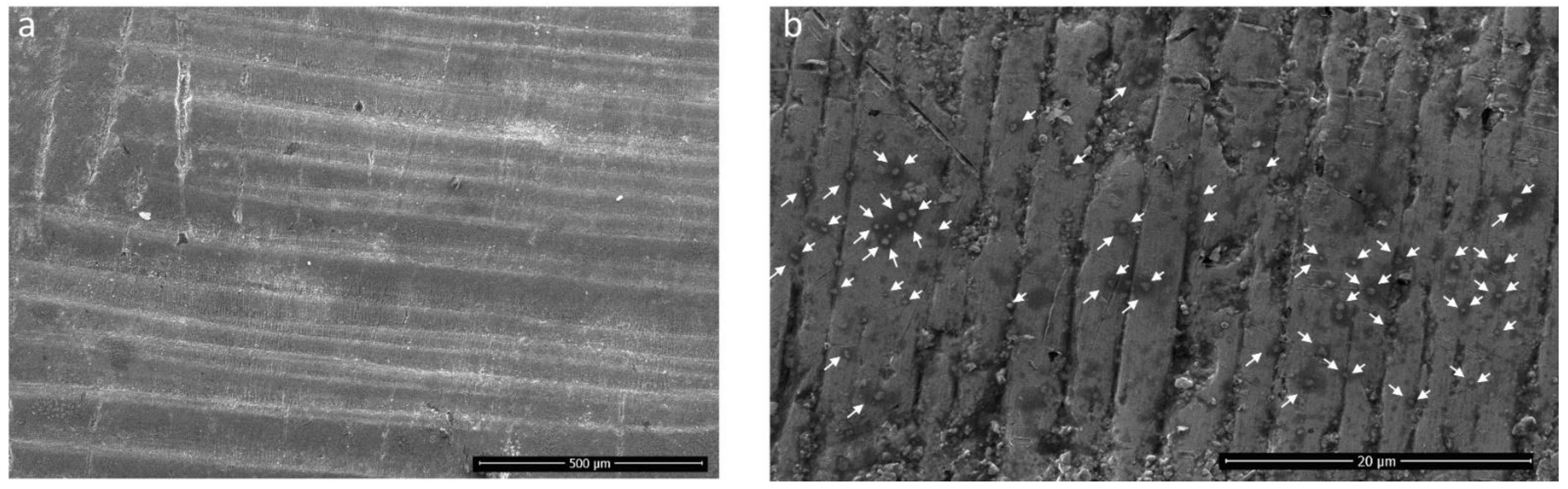 Materials 15 00637 g009 550