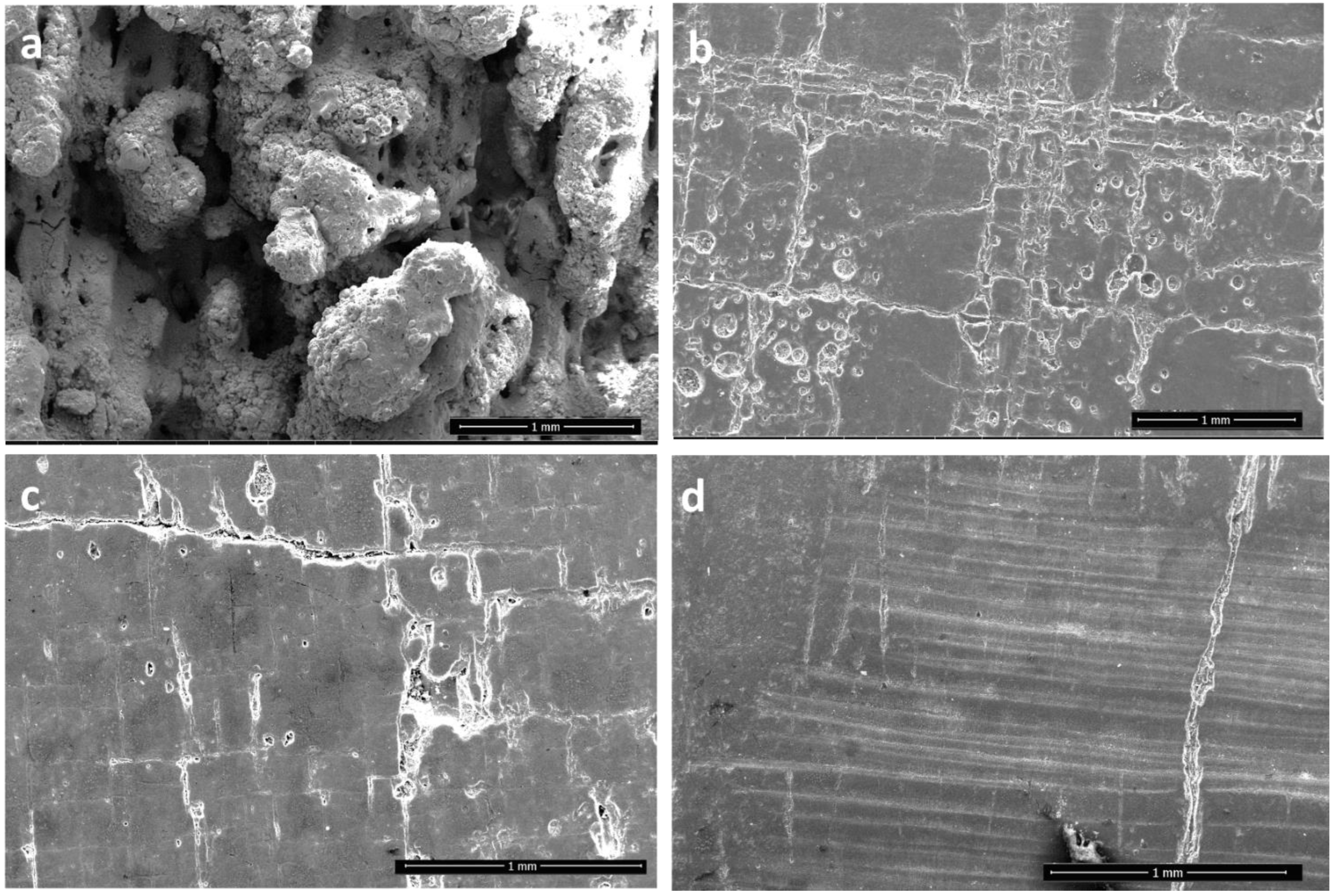 Materials 15 00637 g012 550